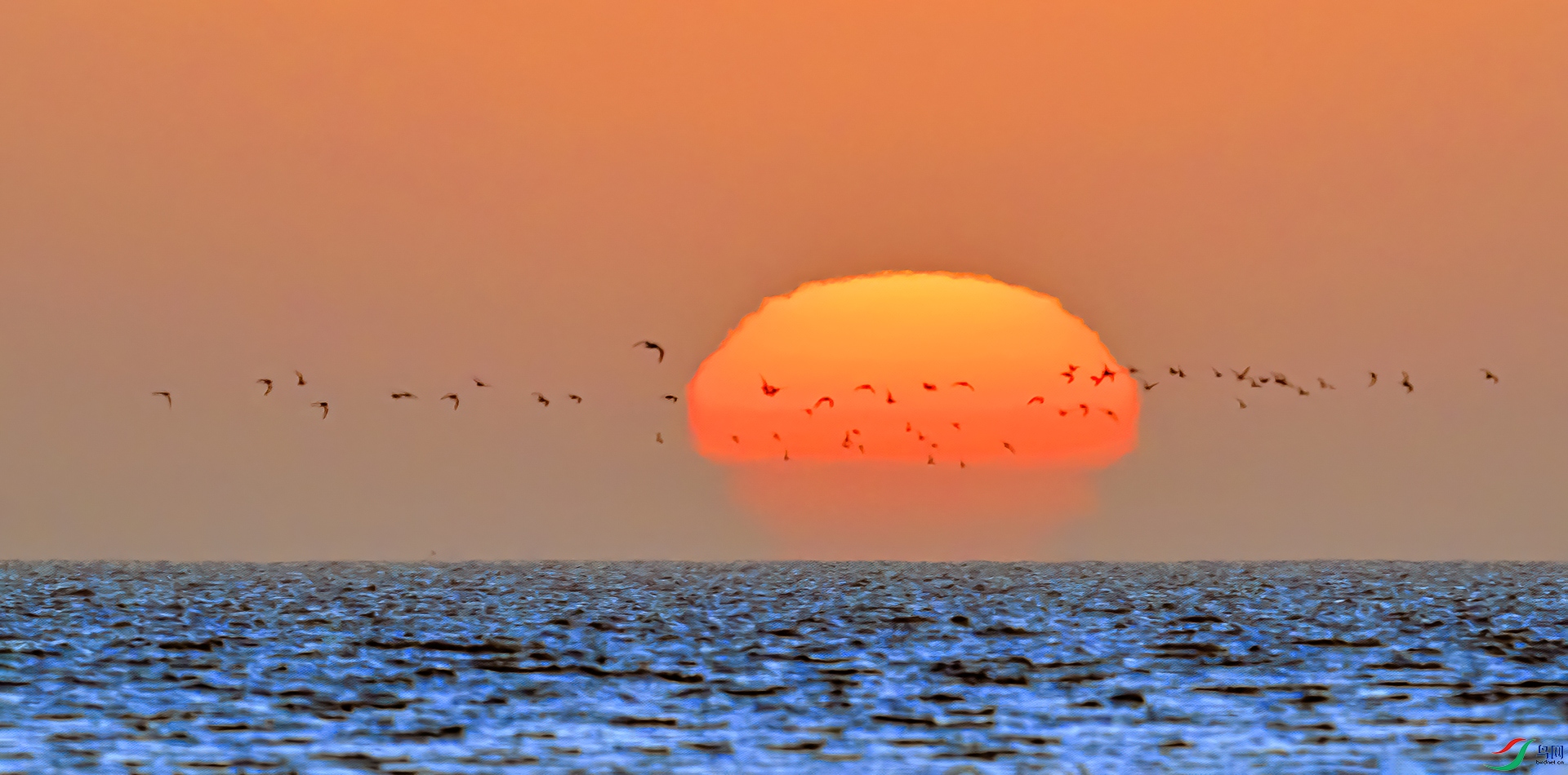 DSC_4143==1w.jpg