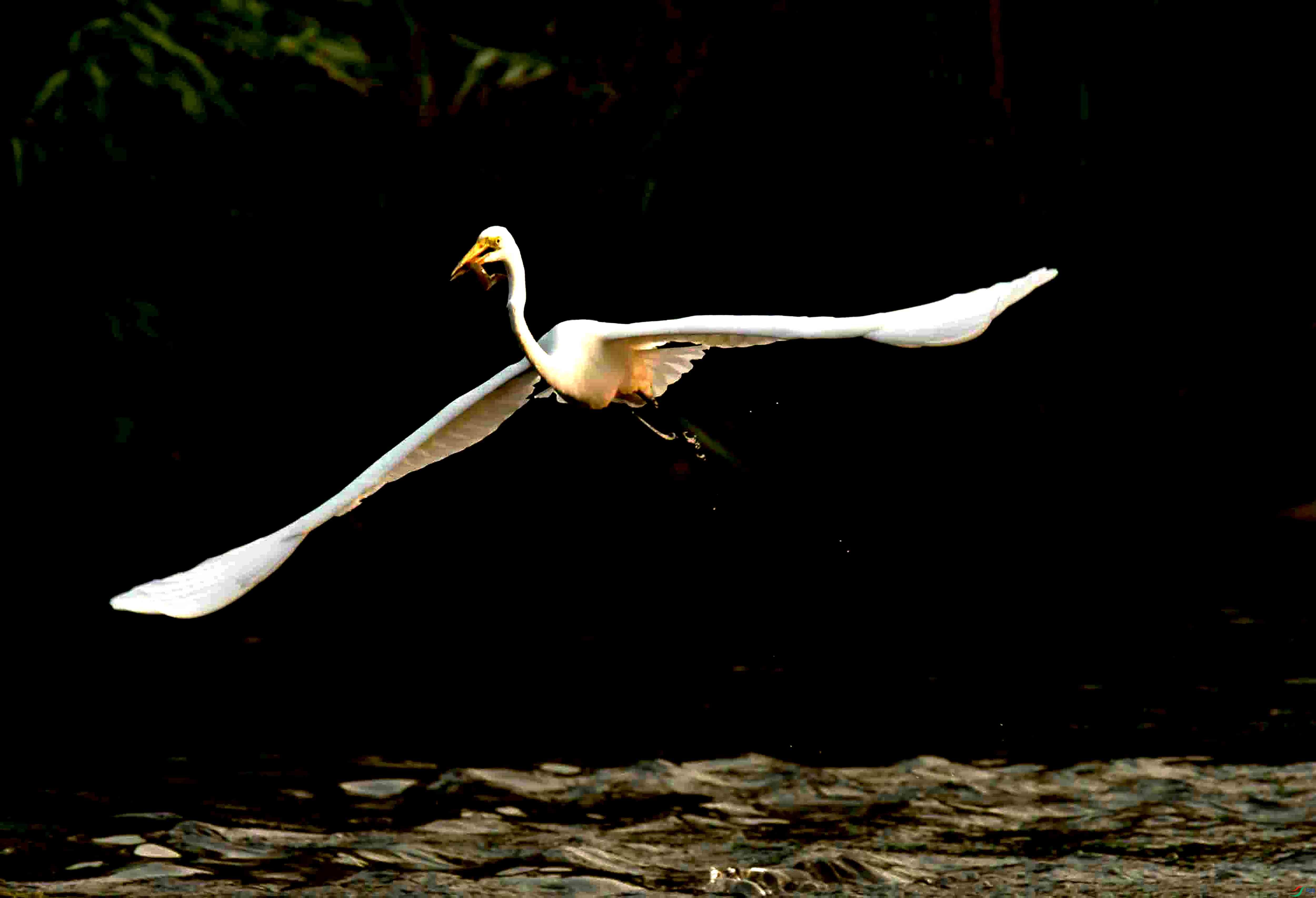 DSC_2303.JPG