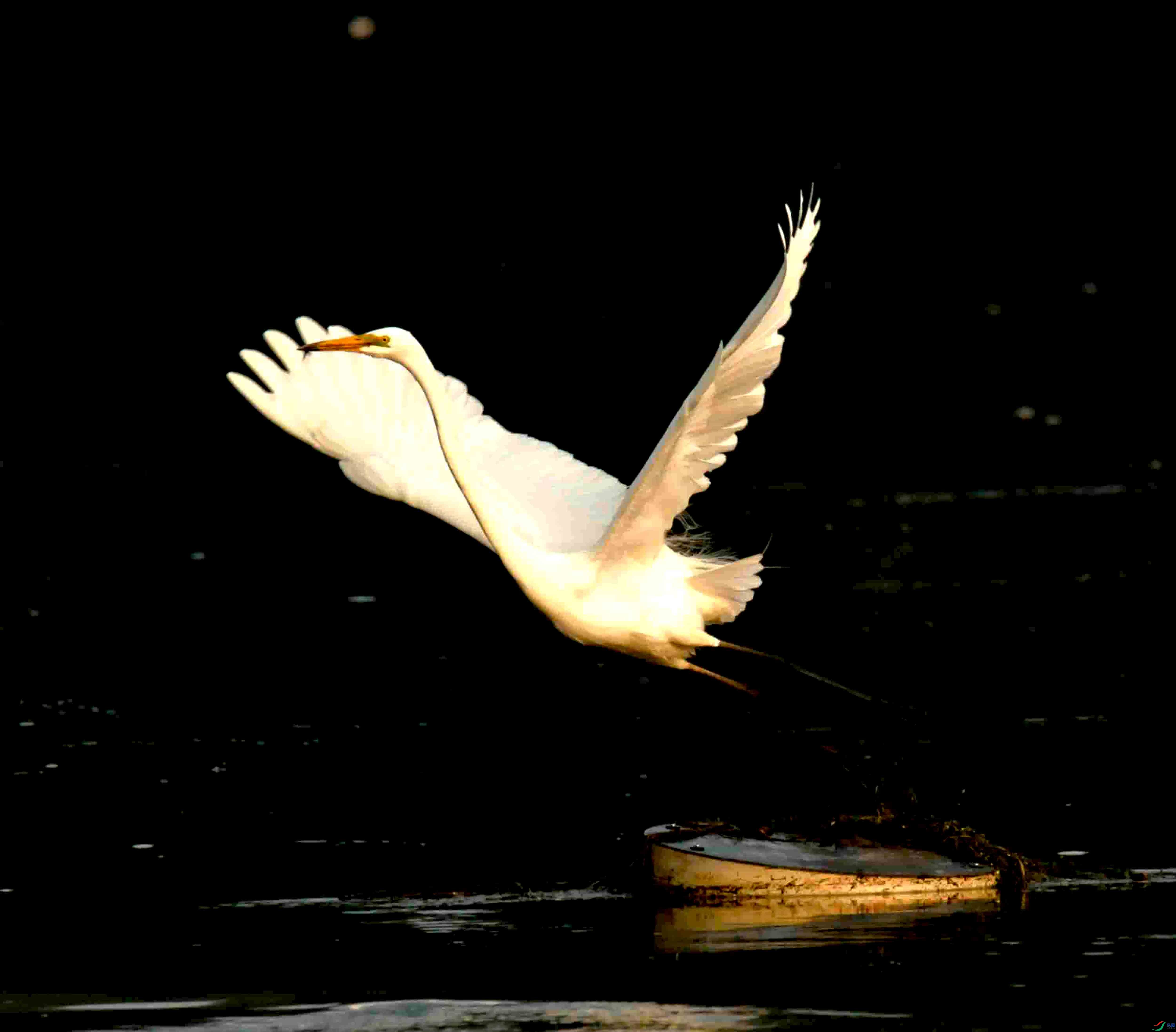 DSC_2329.JPG