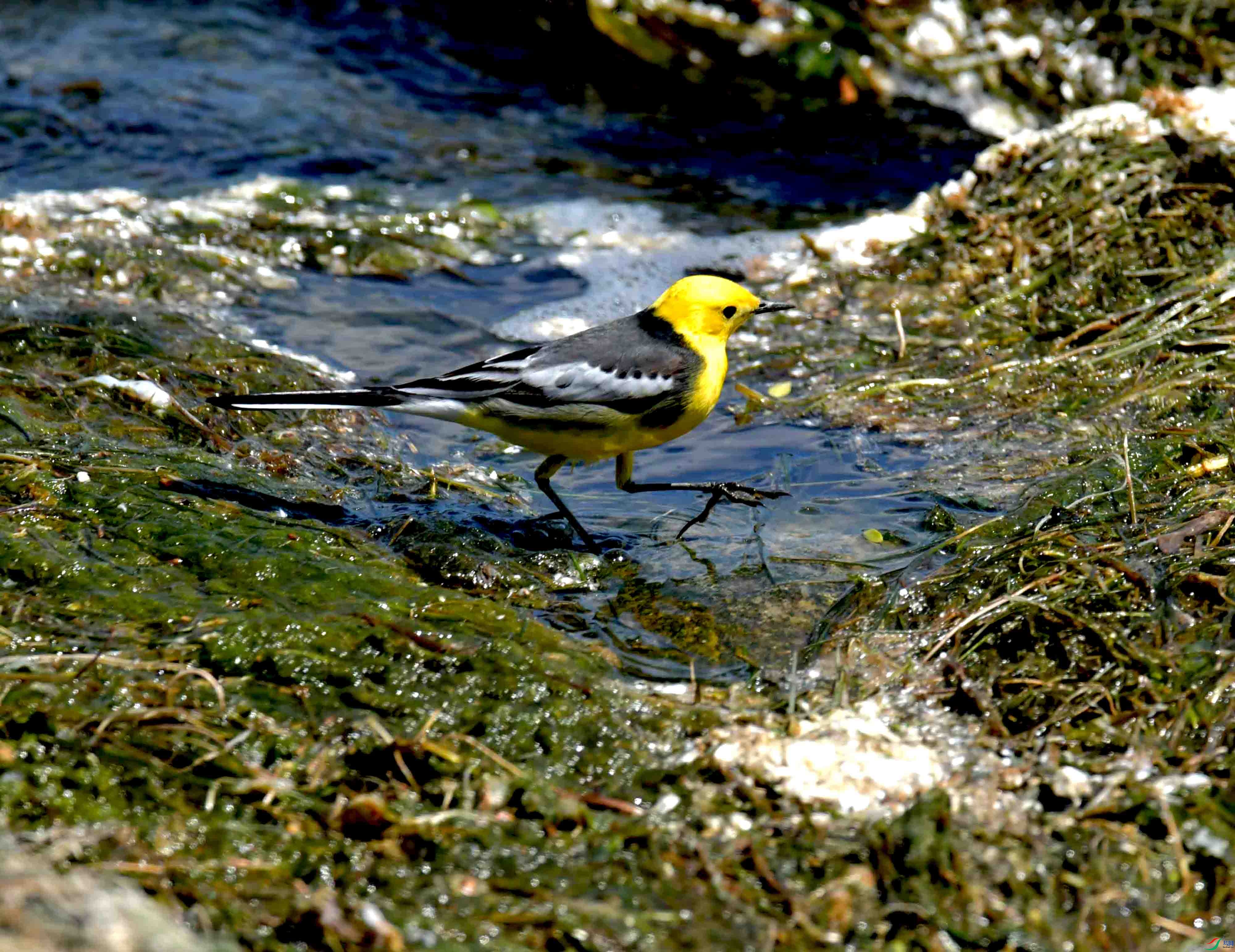 DSC_0135.JPG