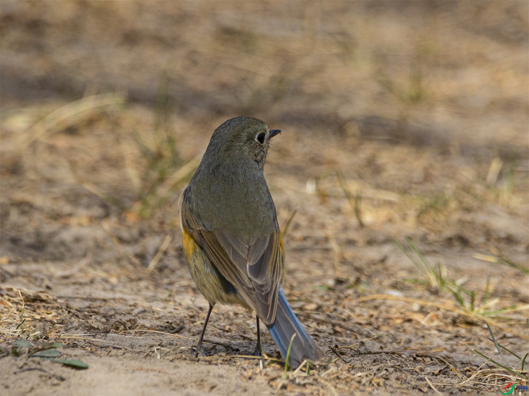 1K3A3456 ����1.jpg