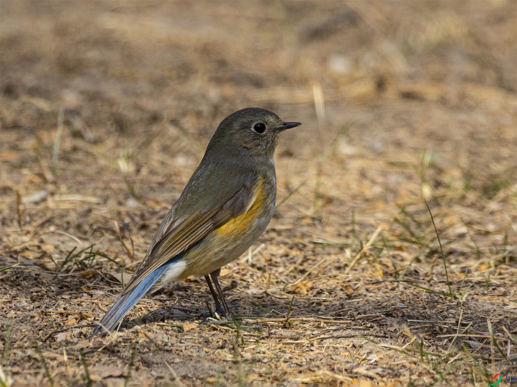 1K3A3461 ����1.jpg