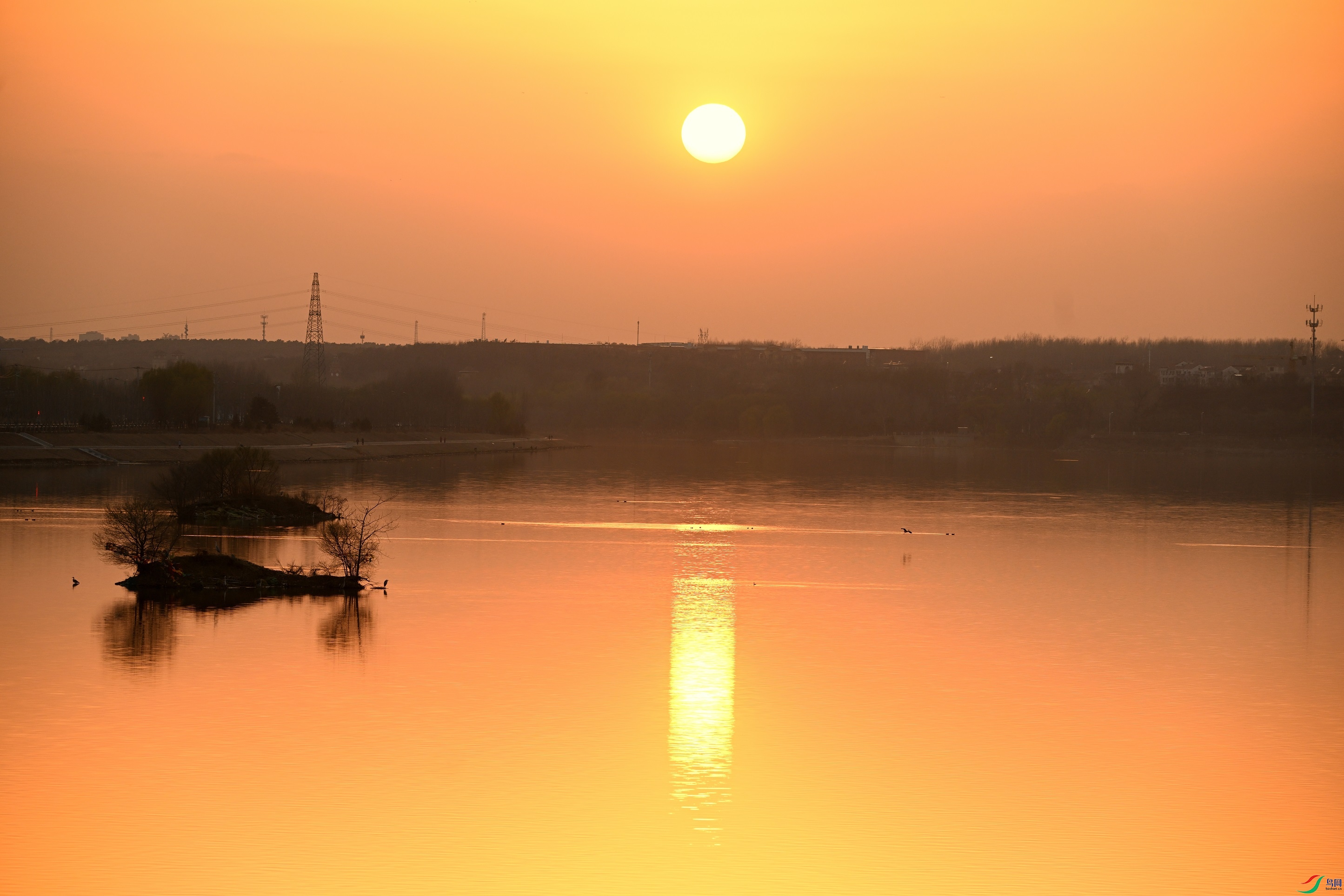 DSC_6730.JPG