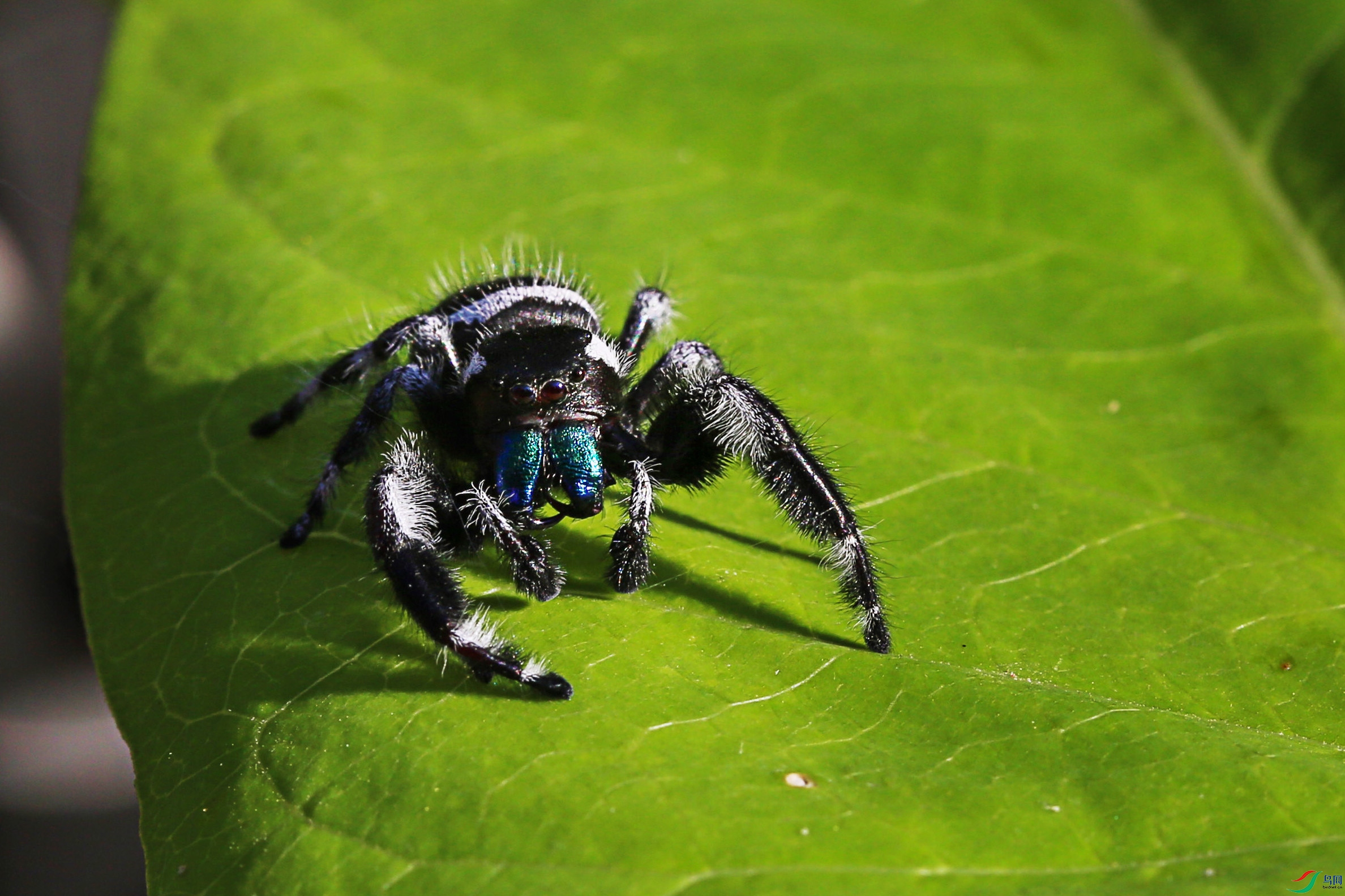 NK5A1286 ����.jpg