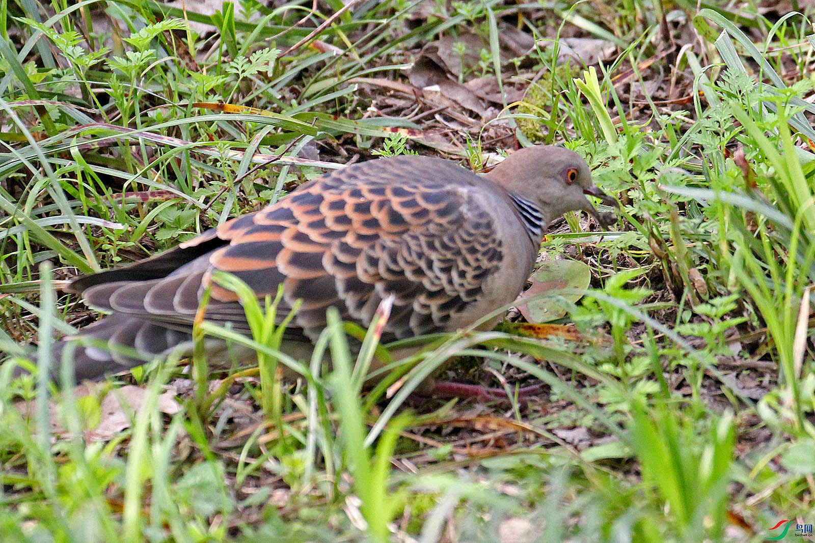 IMG_8866.jpg