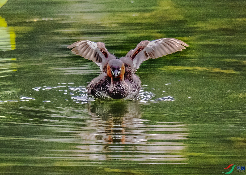 DSC_7146.jpg
