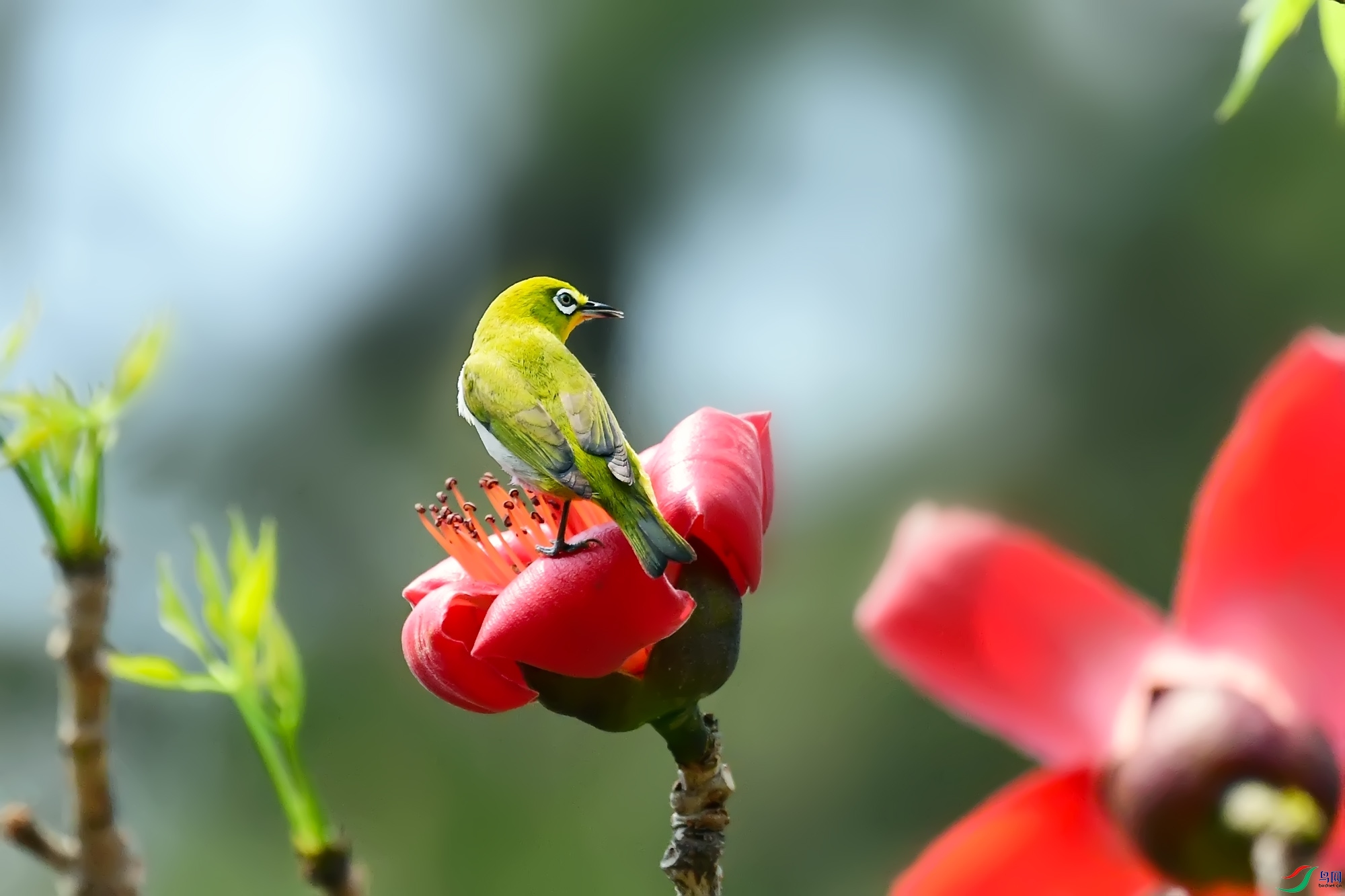 DSC_1049.jpg