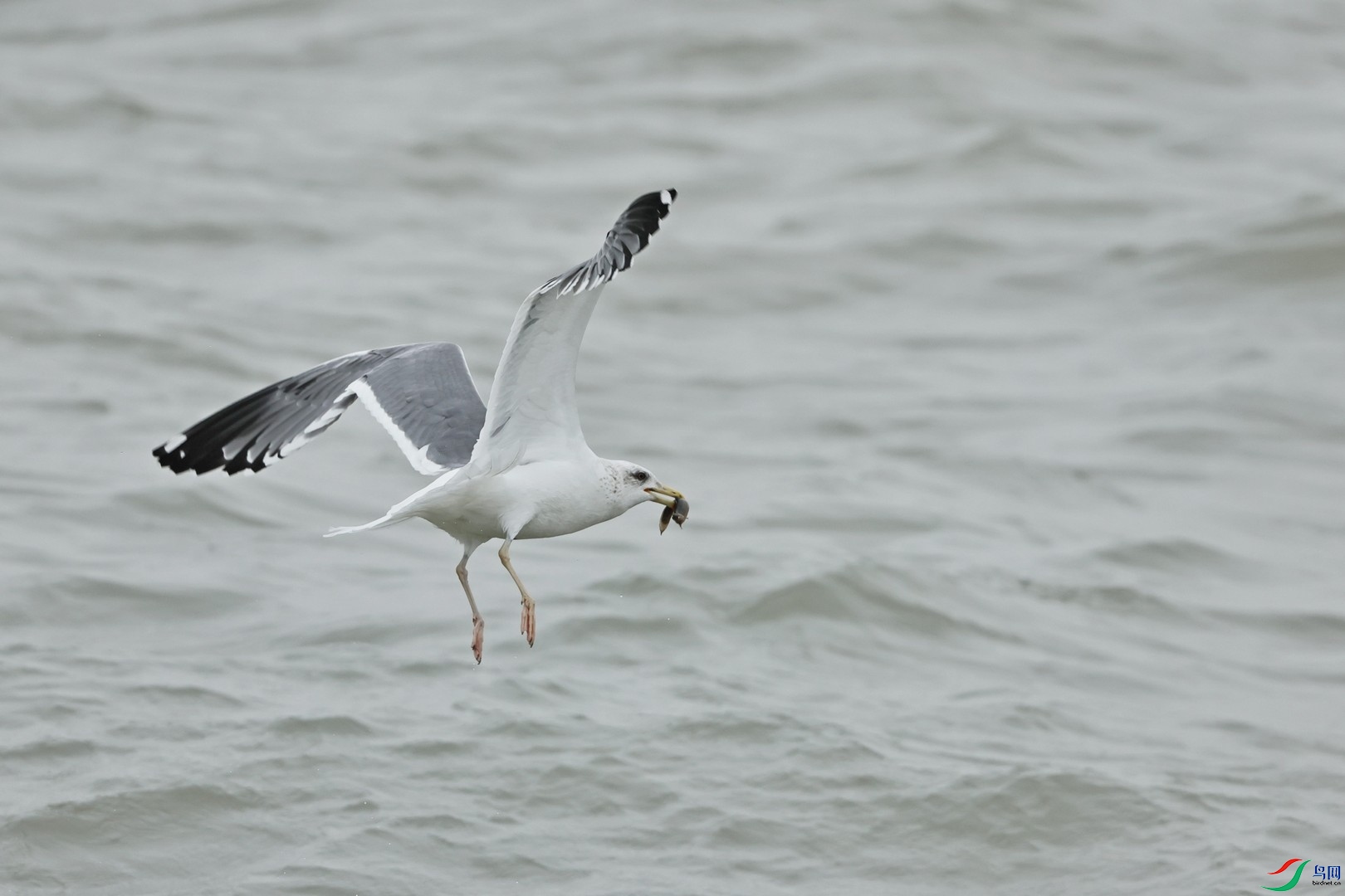 ʲôŸ������  _98A6962.jpg