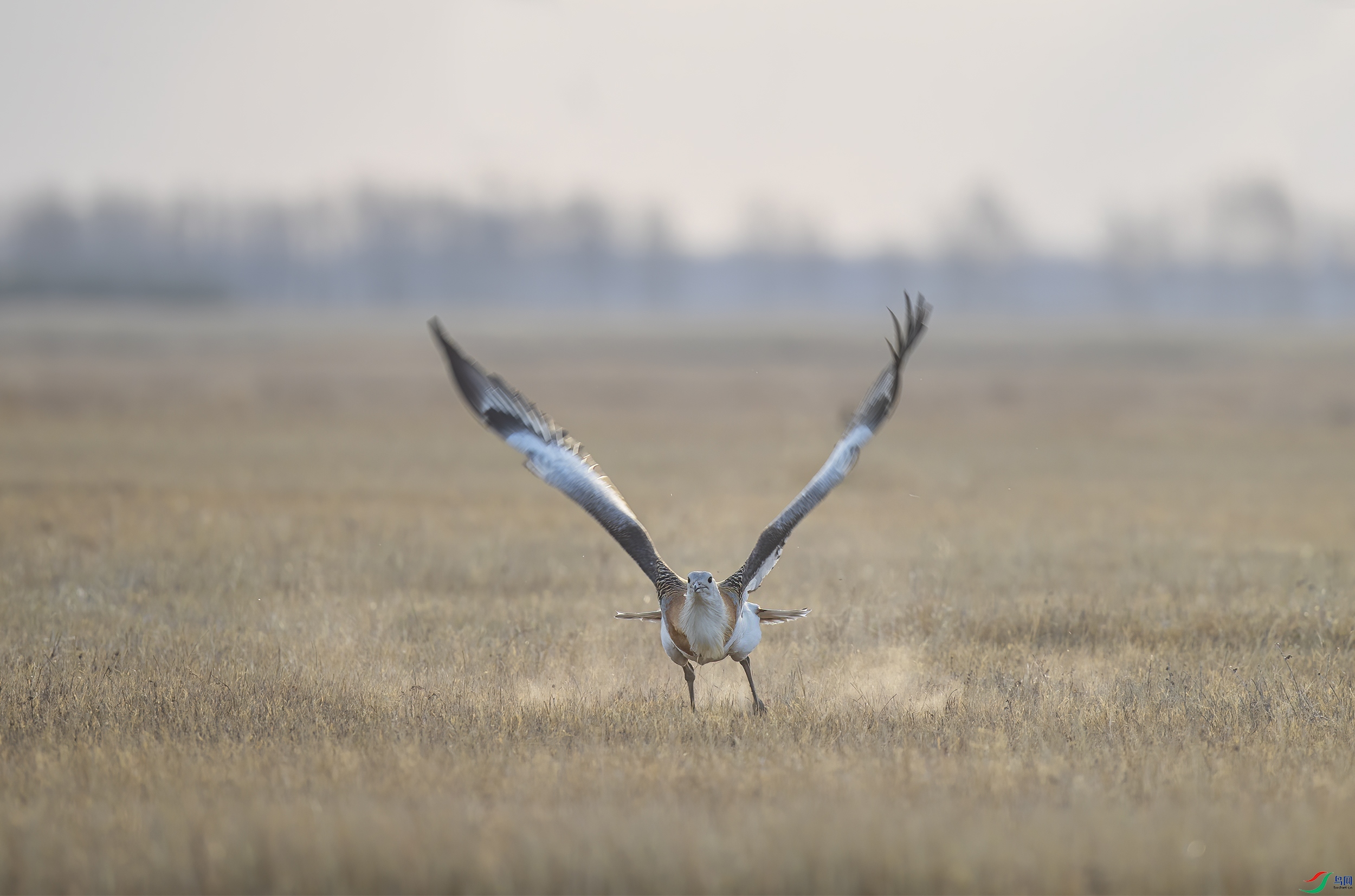 AC3I4902 ����.jpg