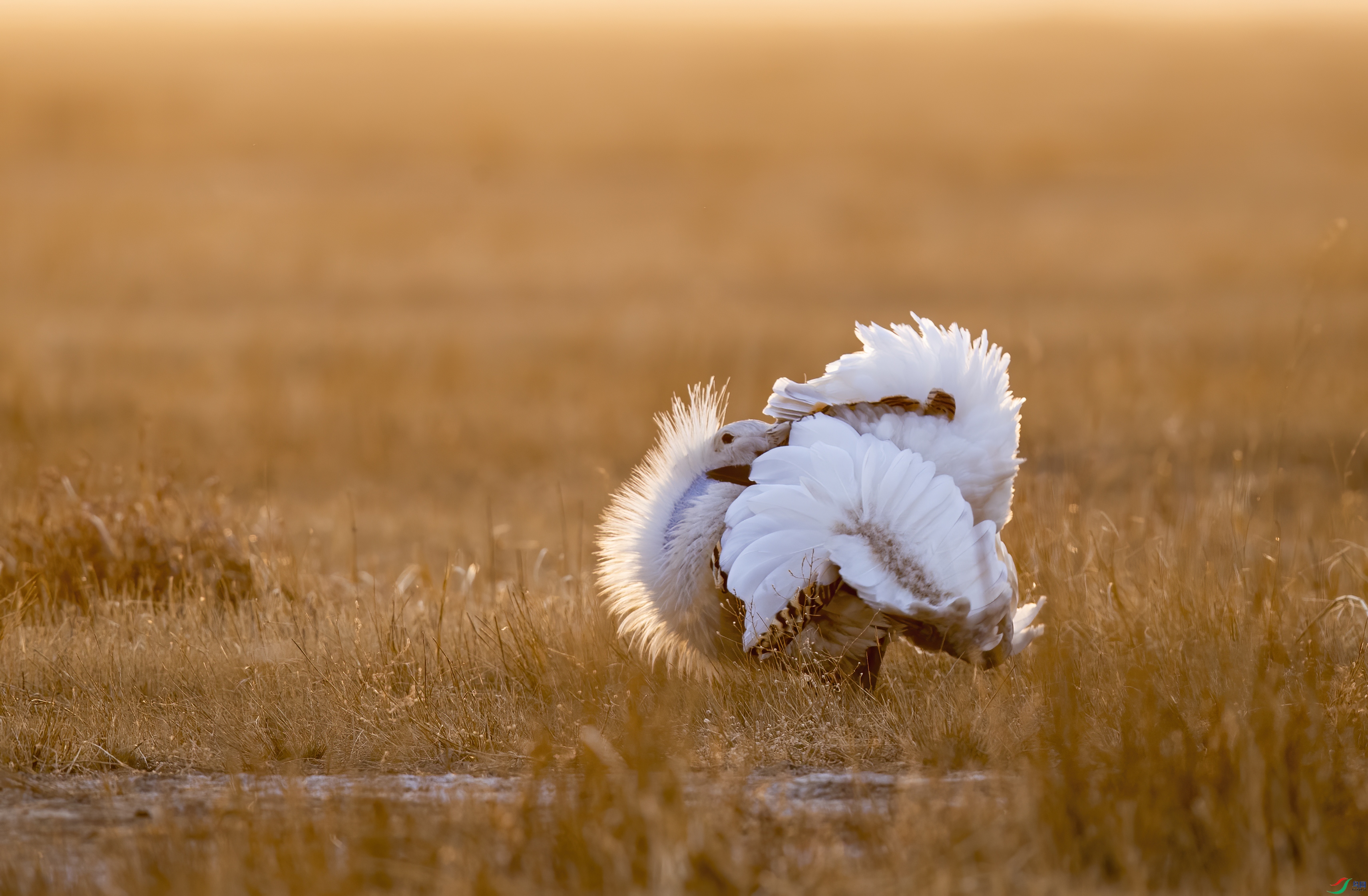 AC3I3797 ����.jpg