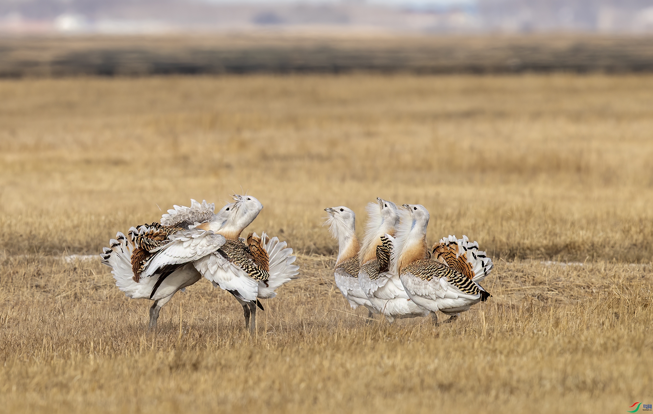 AC3I7026 ����.jpg