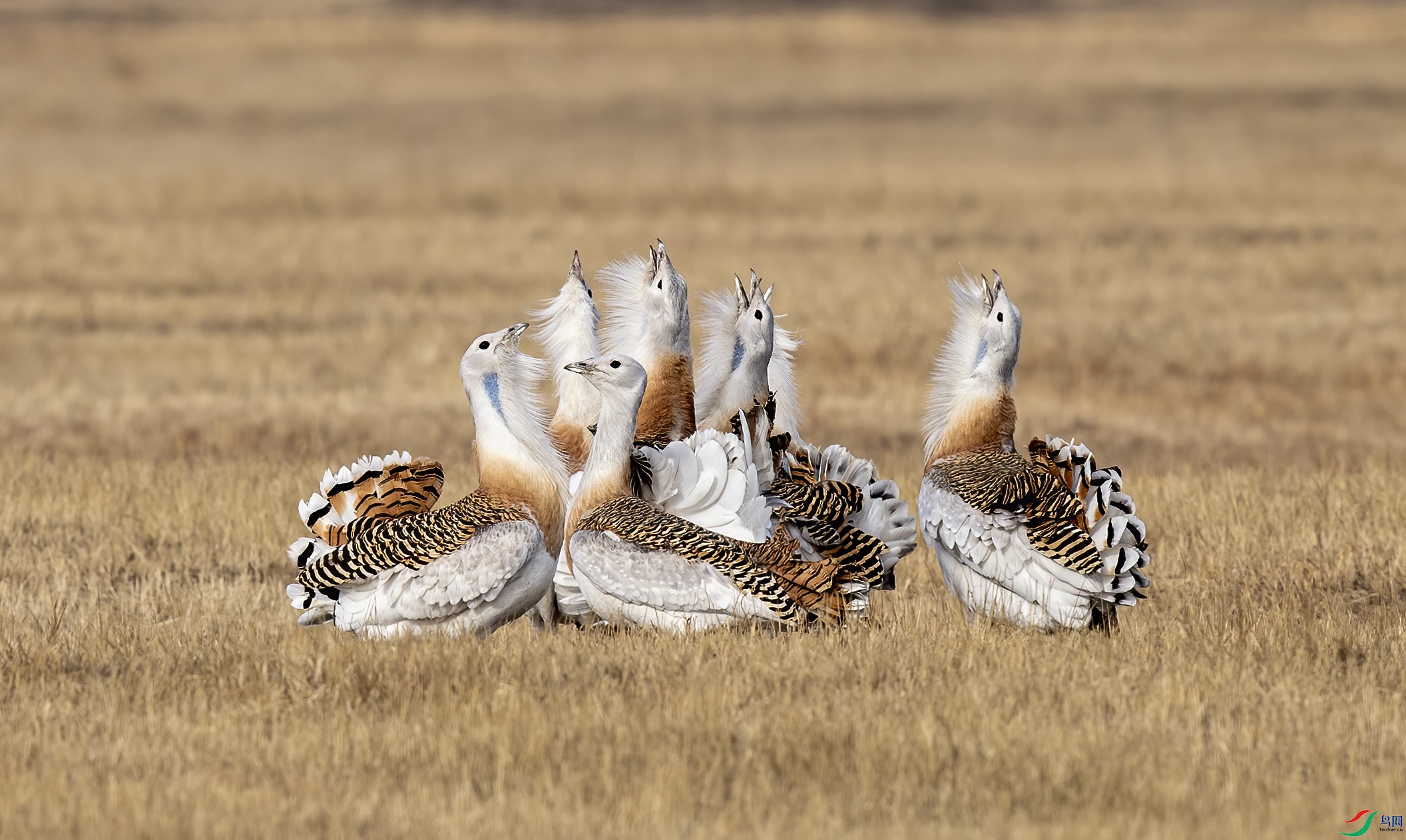 AC3I7406 ����.jpg