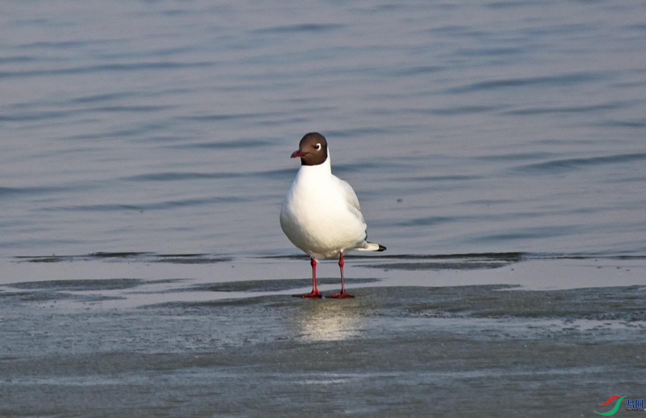 DSC_7412.jpg