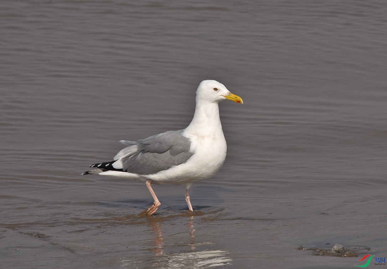 DSC_6260.jpg