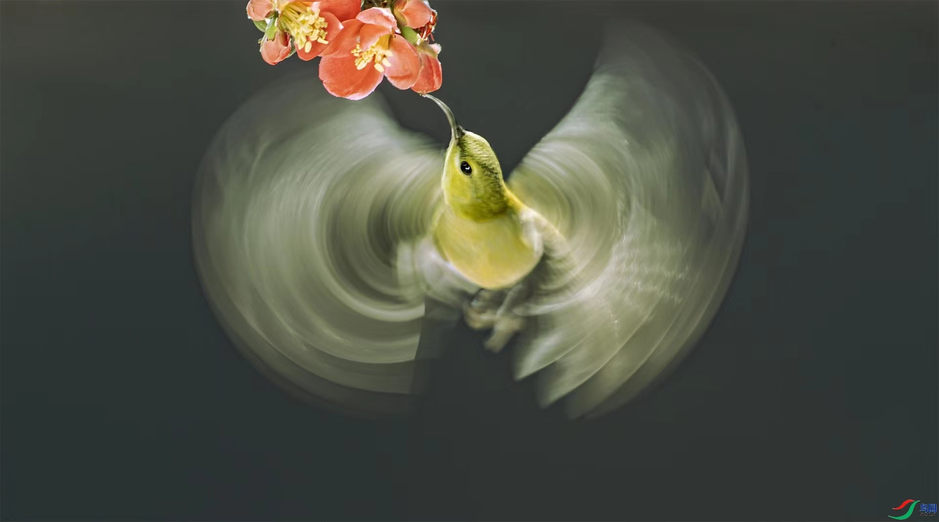 04.12������ʦ��Ʒ  ����  �ٻ�2023��4��12����ҳ������.jpg