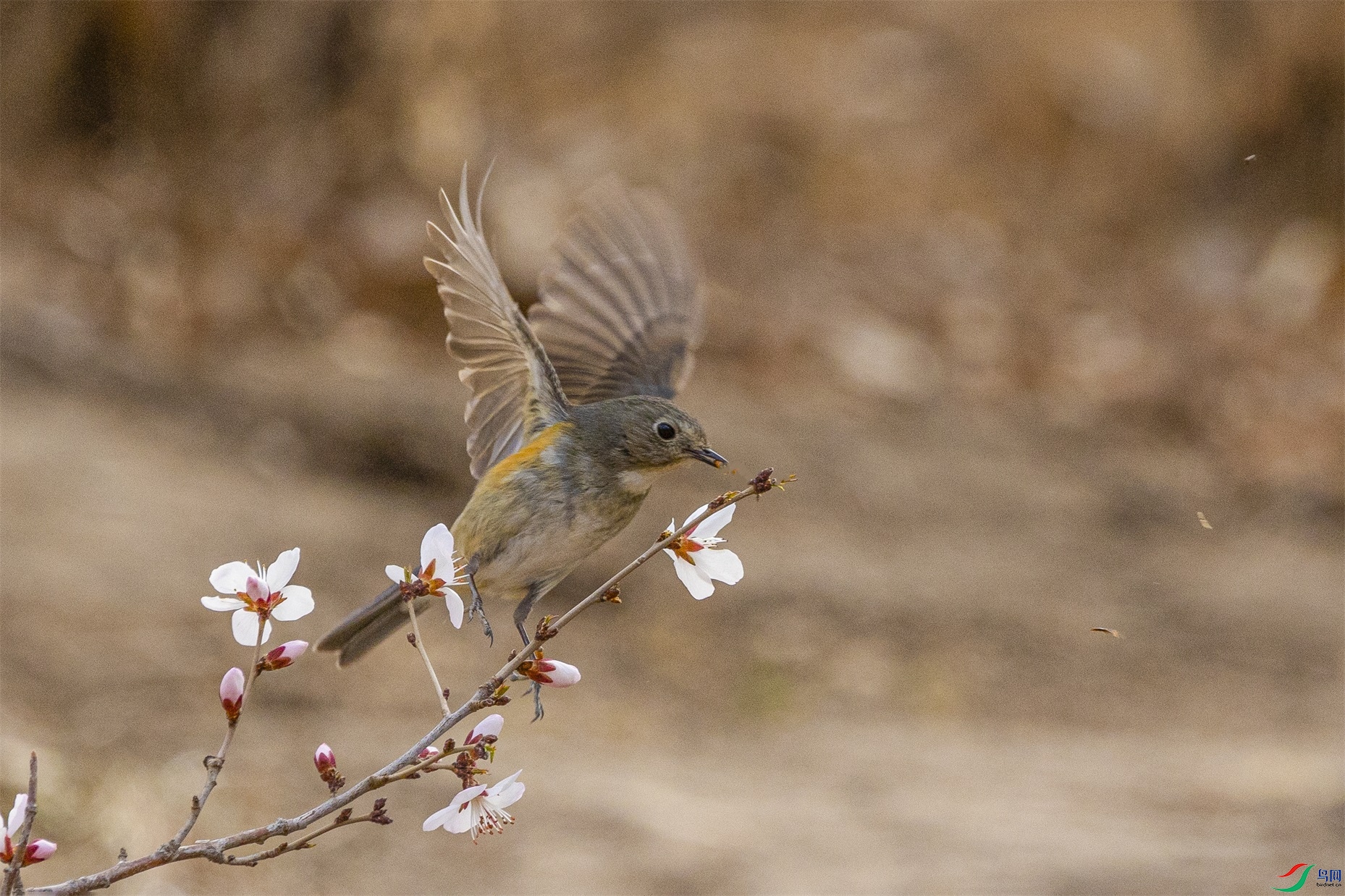 1K3A3677 ����1(1).jpg