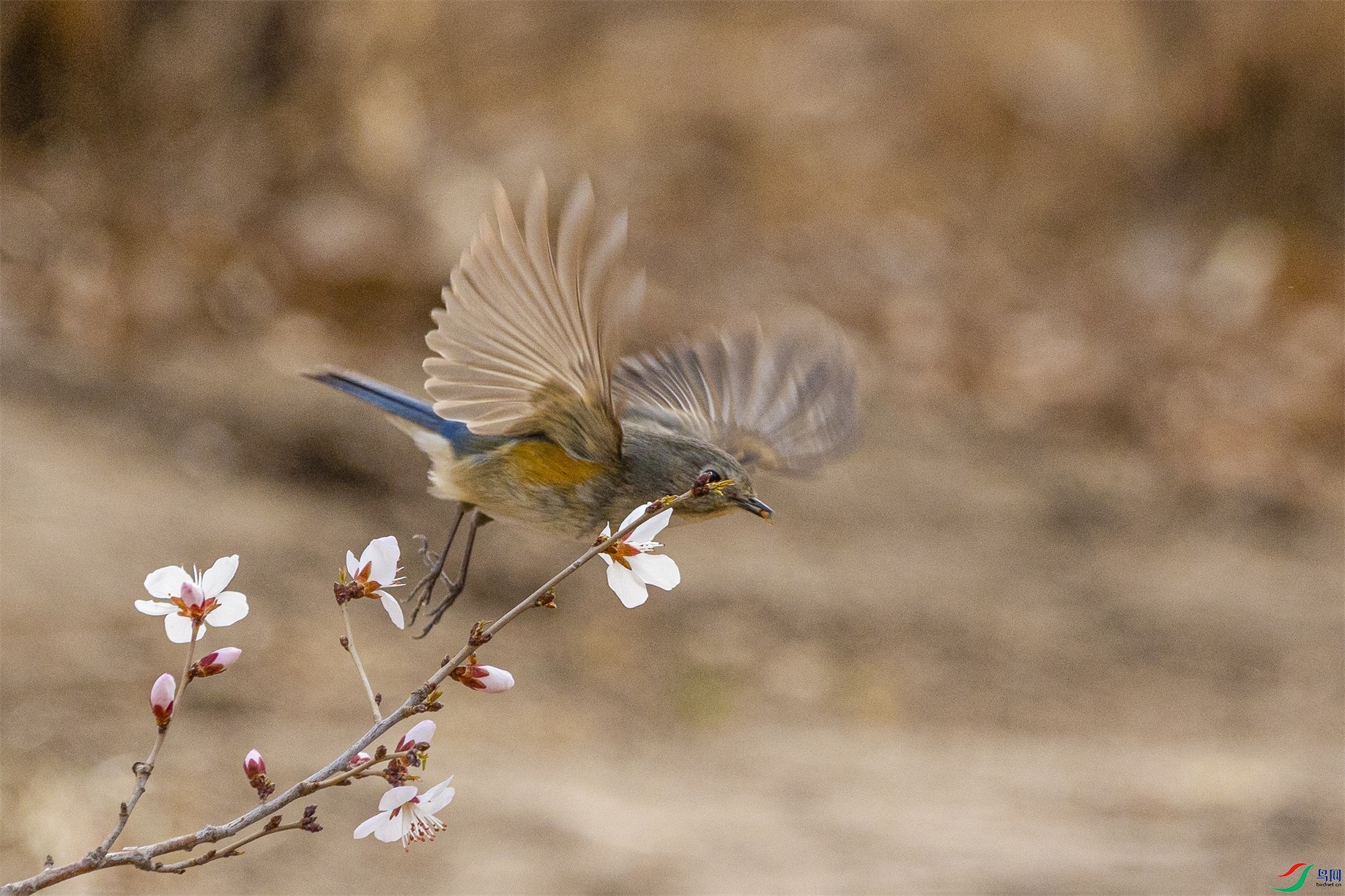 1K3A3678 ����1(1).jpg