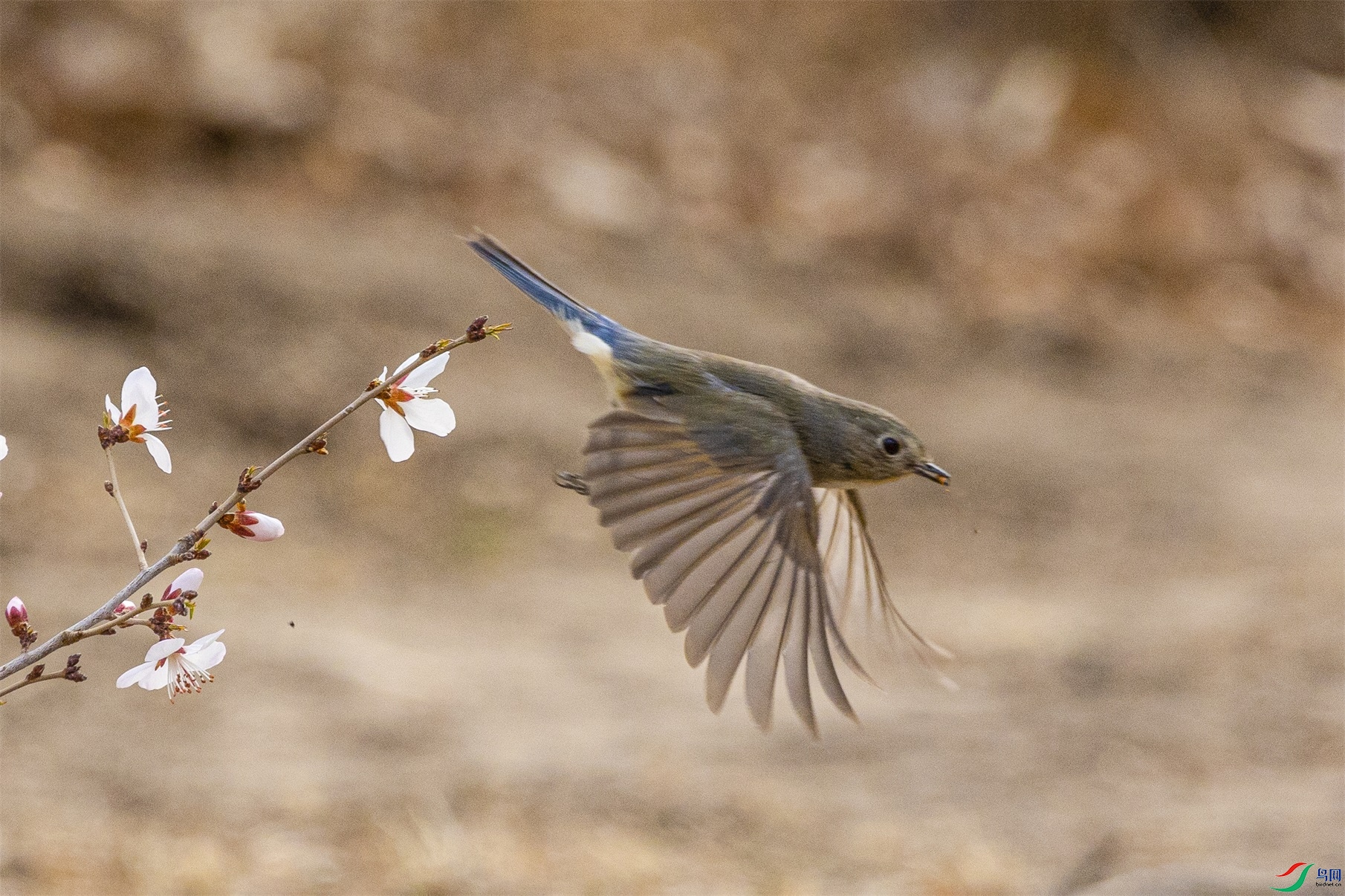 1K3A3680 ����1.jpg