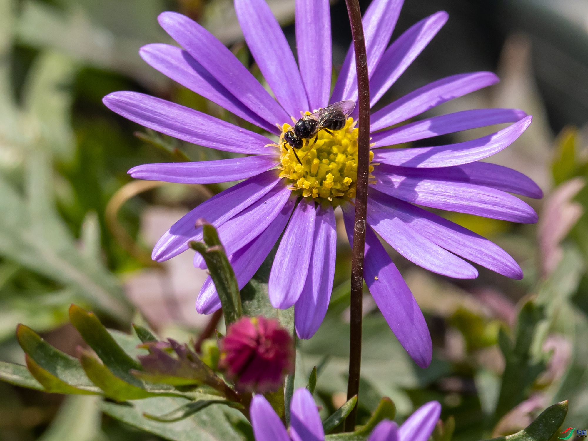 P3290156.jpg