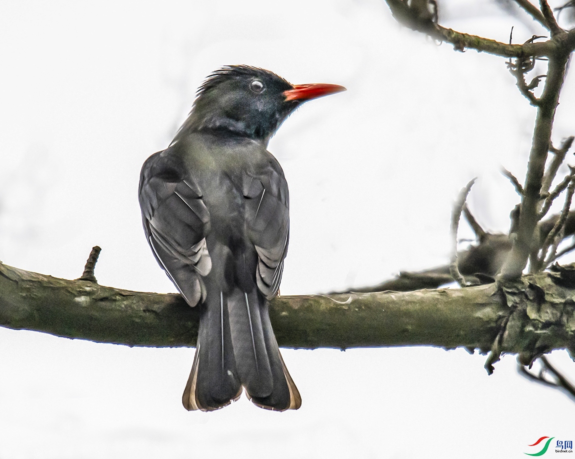 DSC_4173.jpg