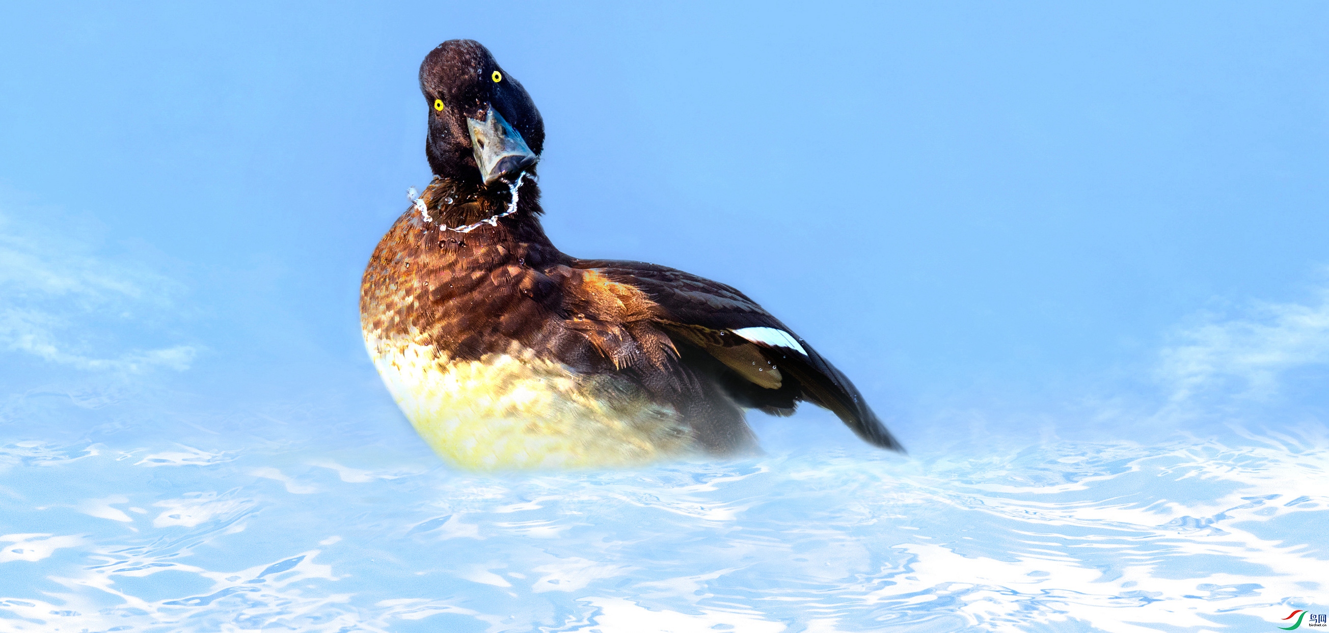 ADG_8689_���� (2).jpg