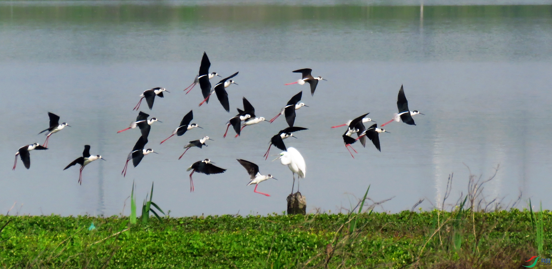 IMG_0758.JPG