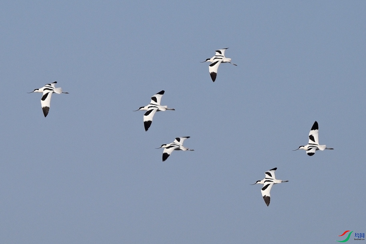 DSC_3381.jpg