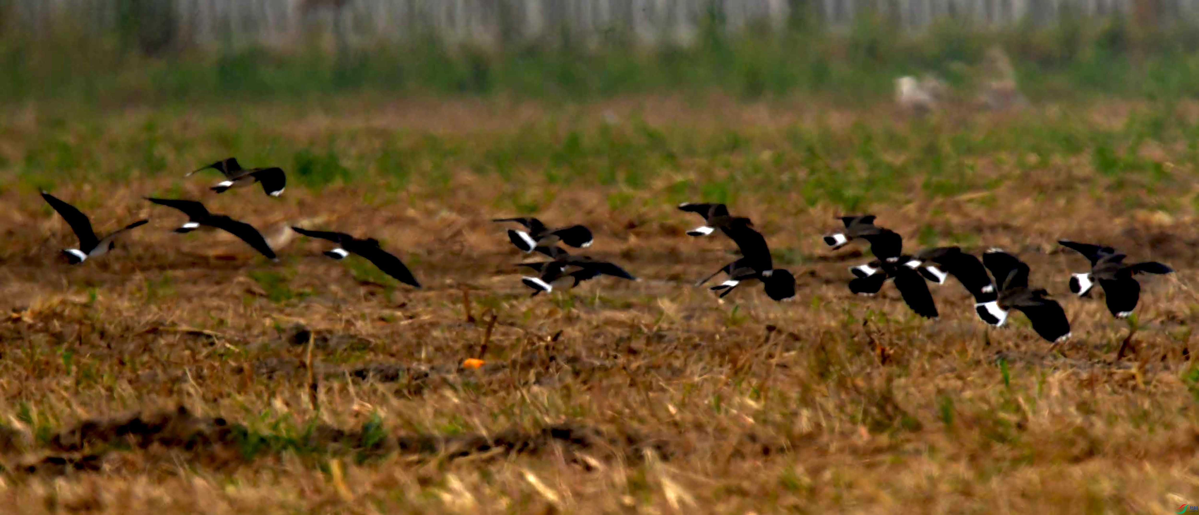 DSC_2405.JPG