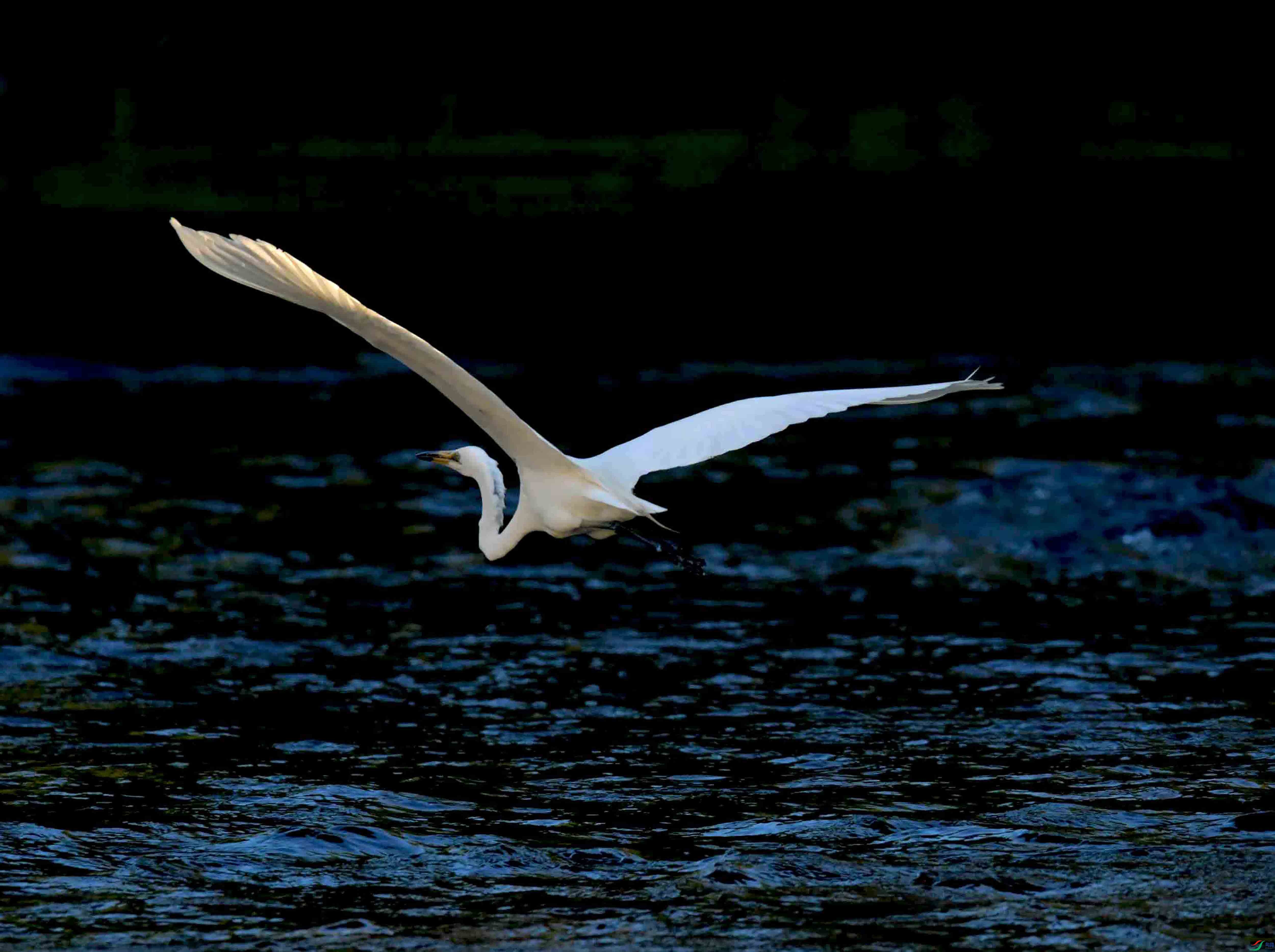 DSC_2381.JPG