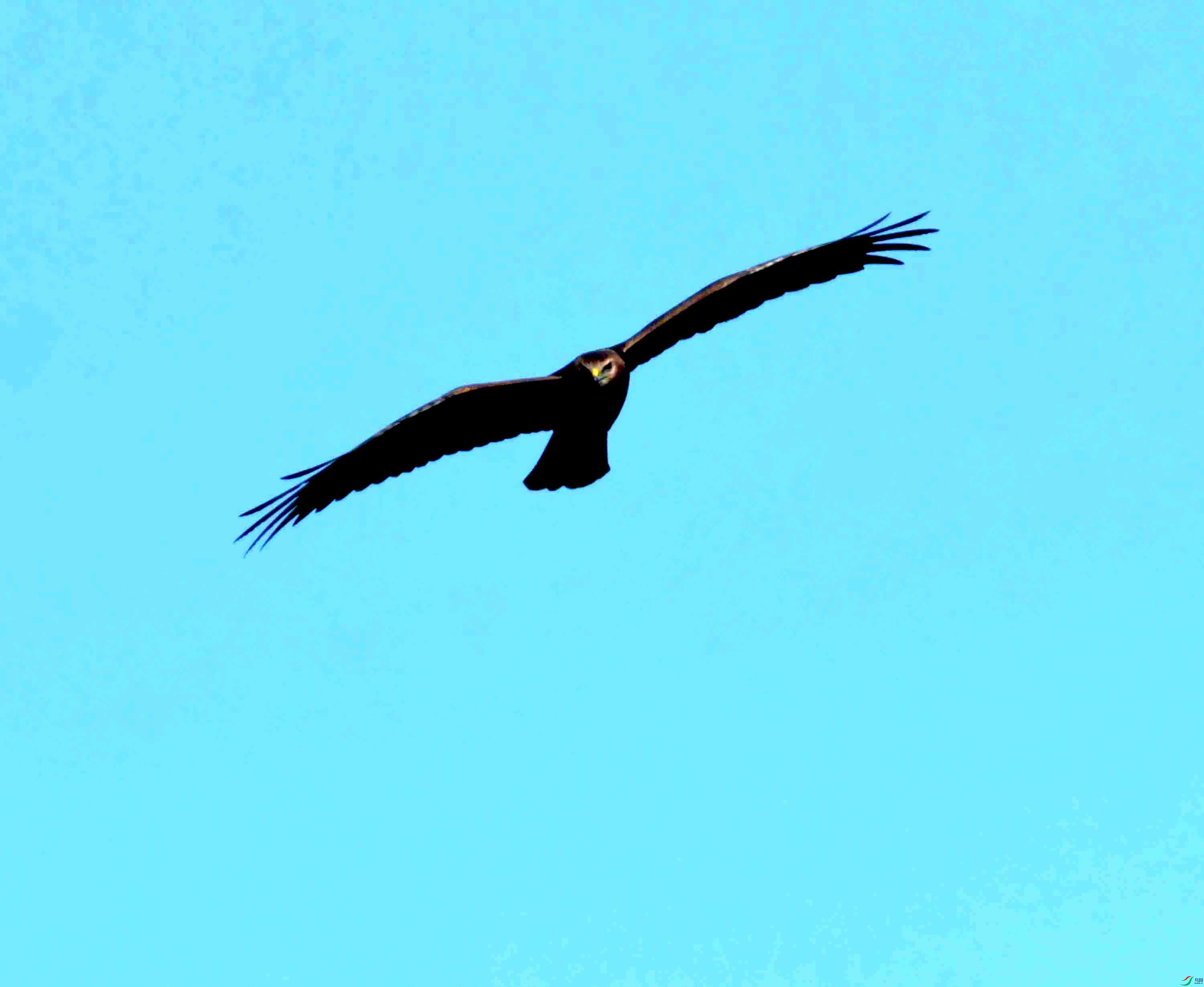 DSC_4214.JPG