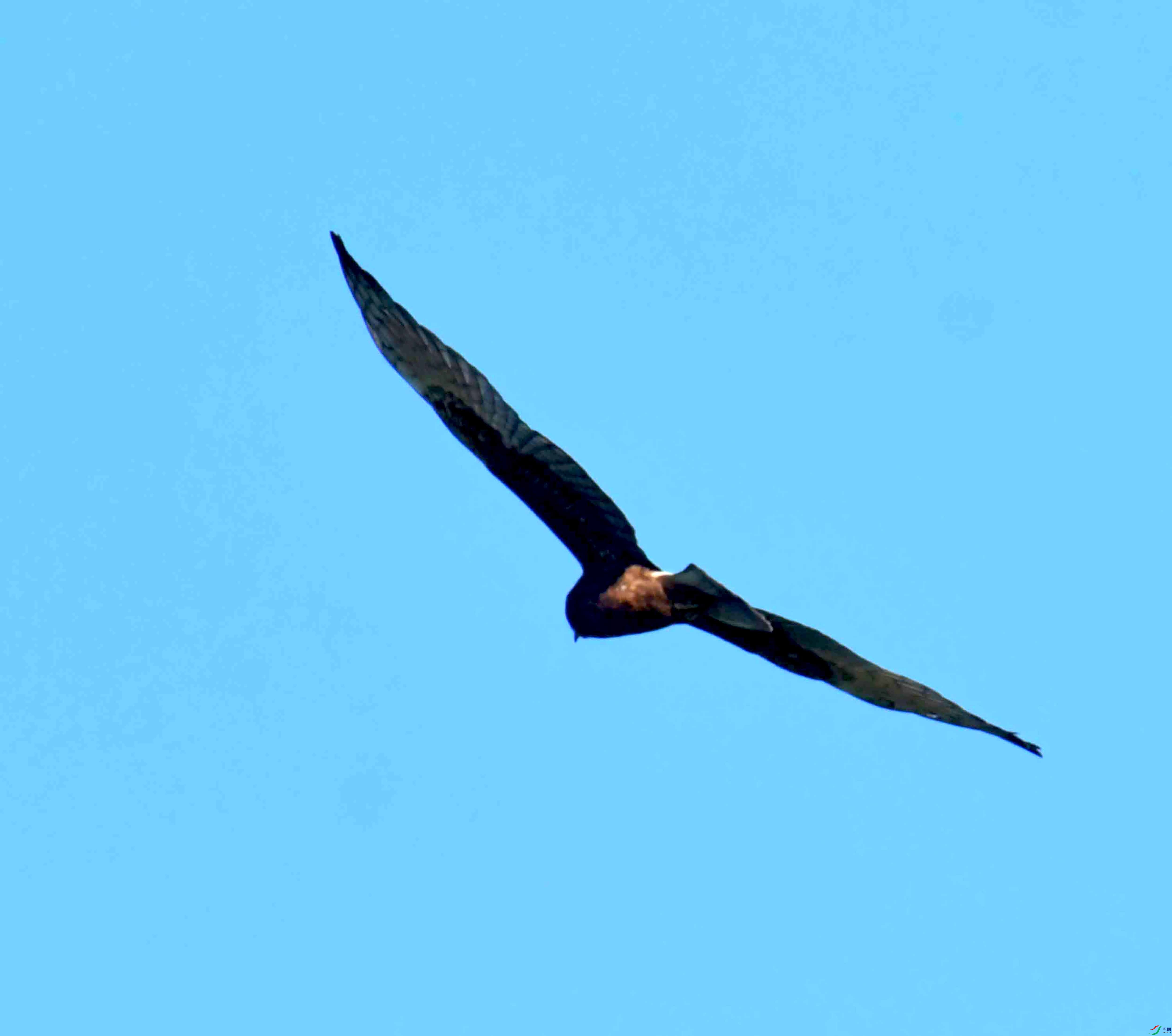 DSC_4216.JPG