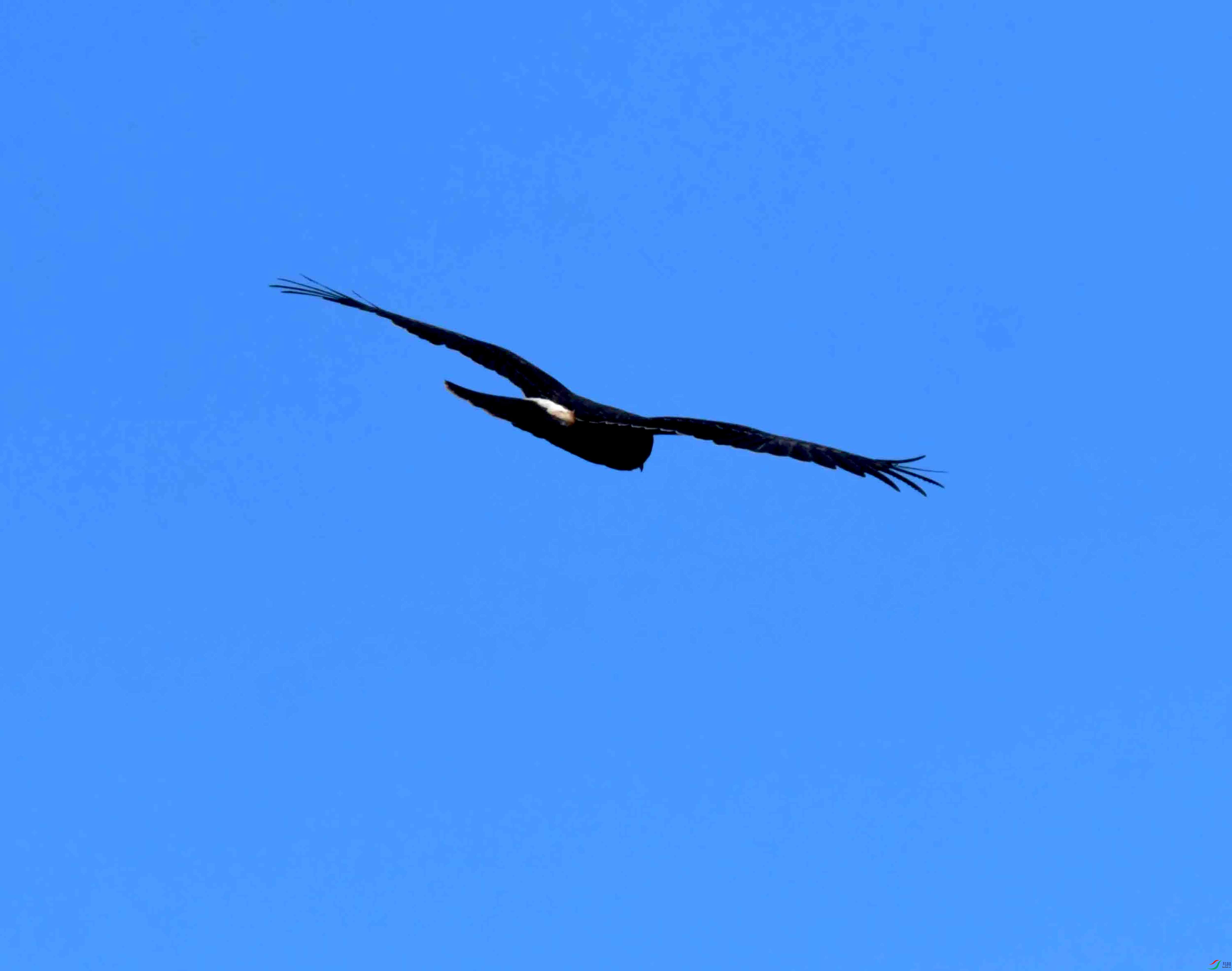 DSC_4220.JPG