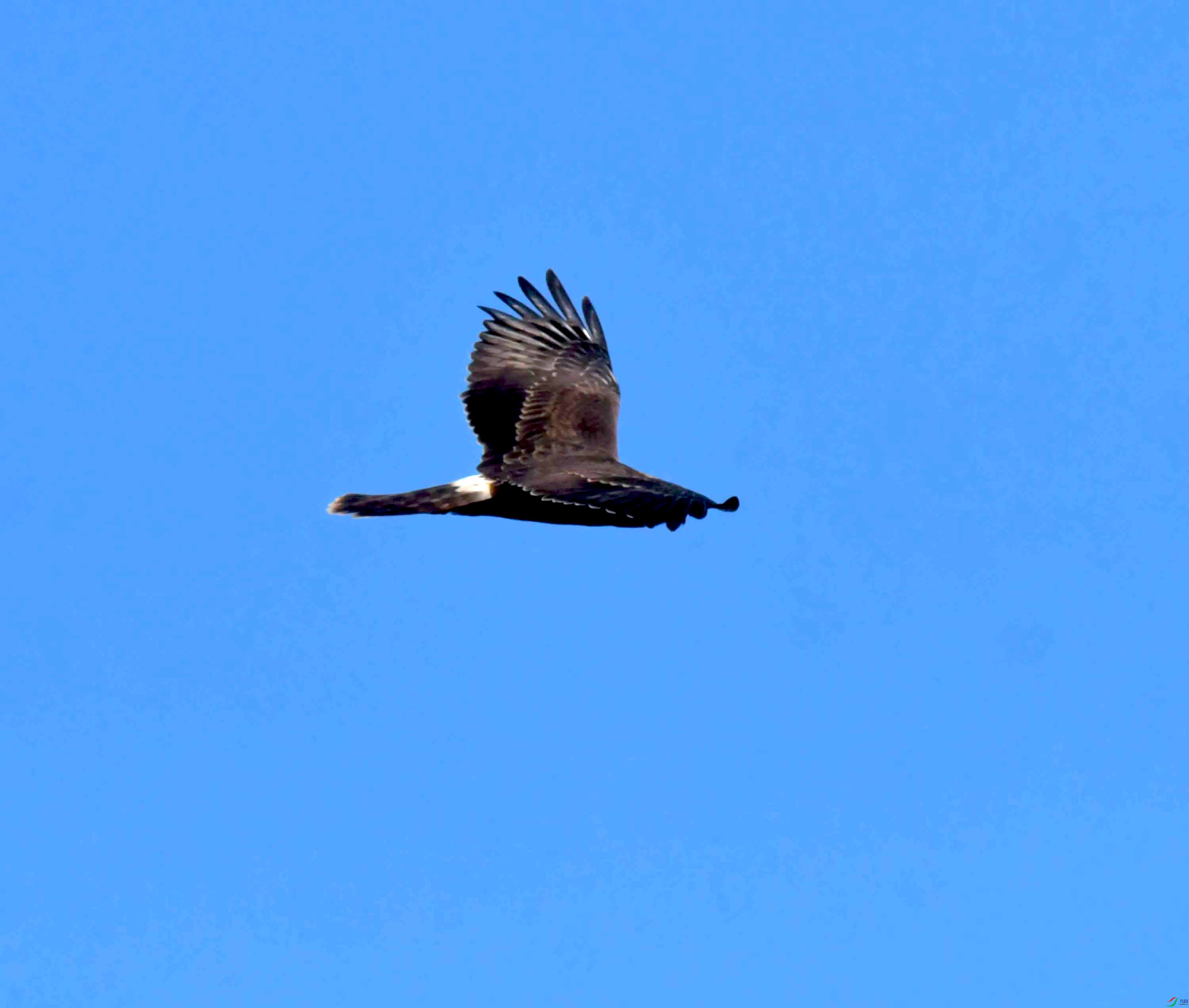 DSC_4222.JPG