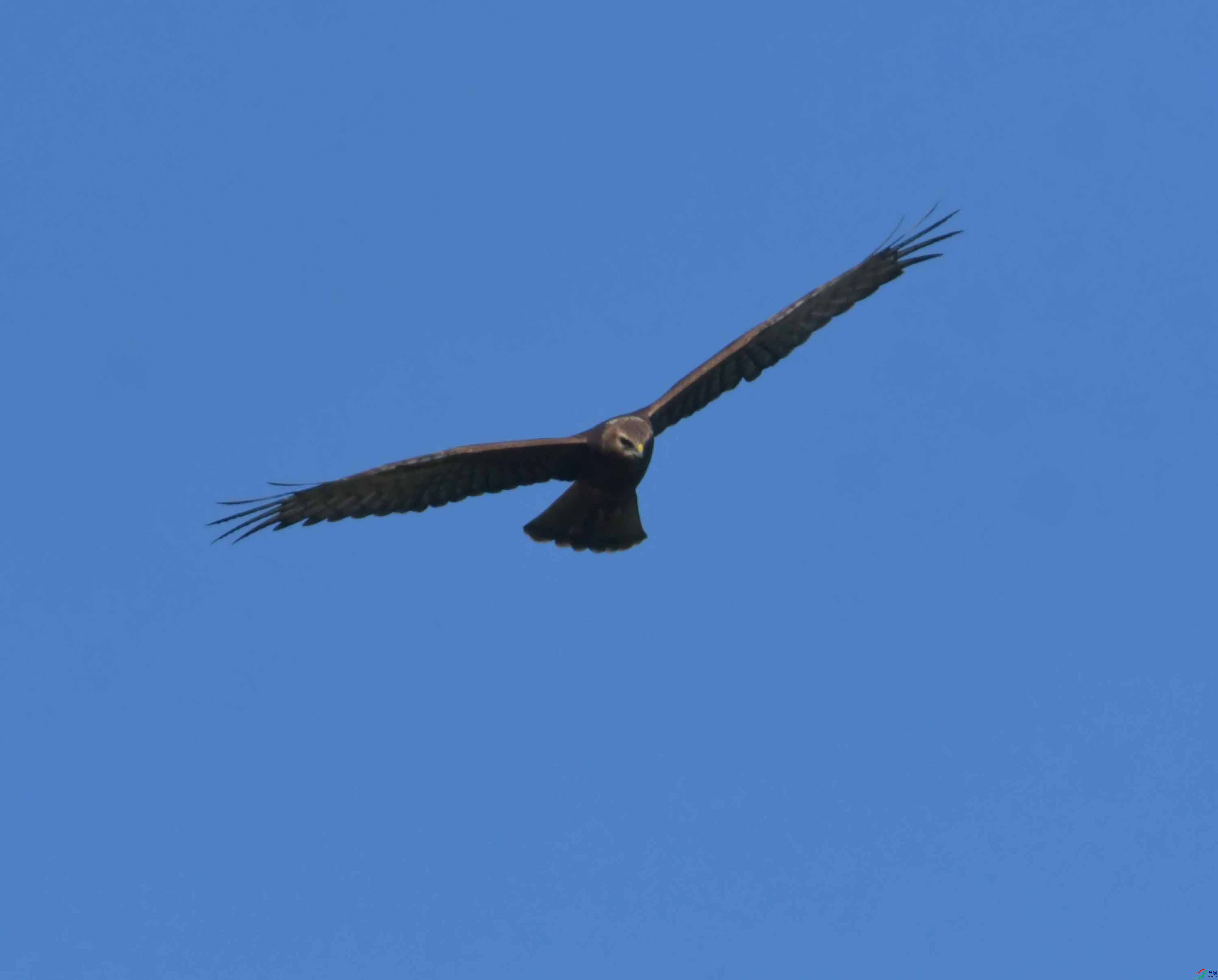 DSC_4227.JPG