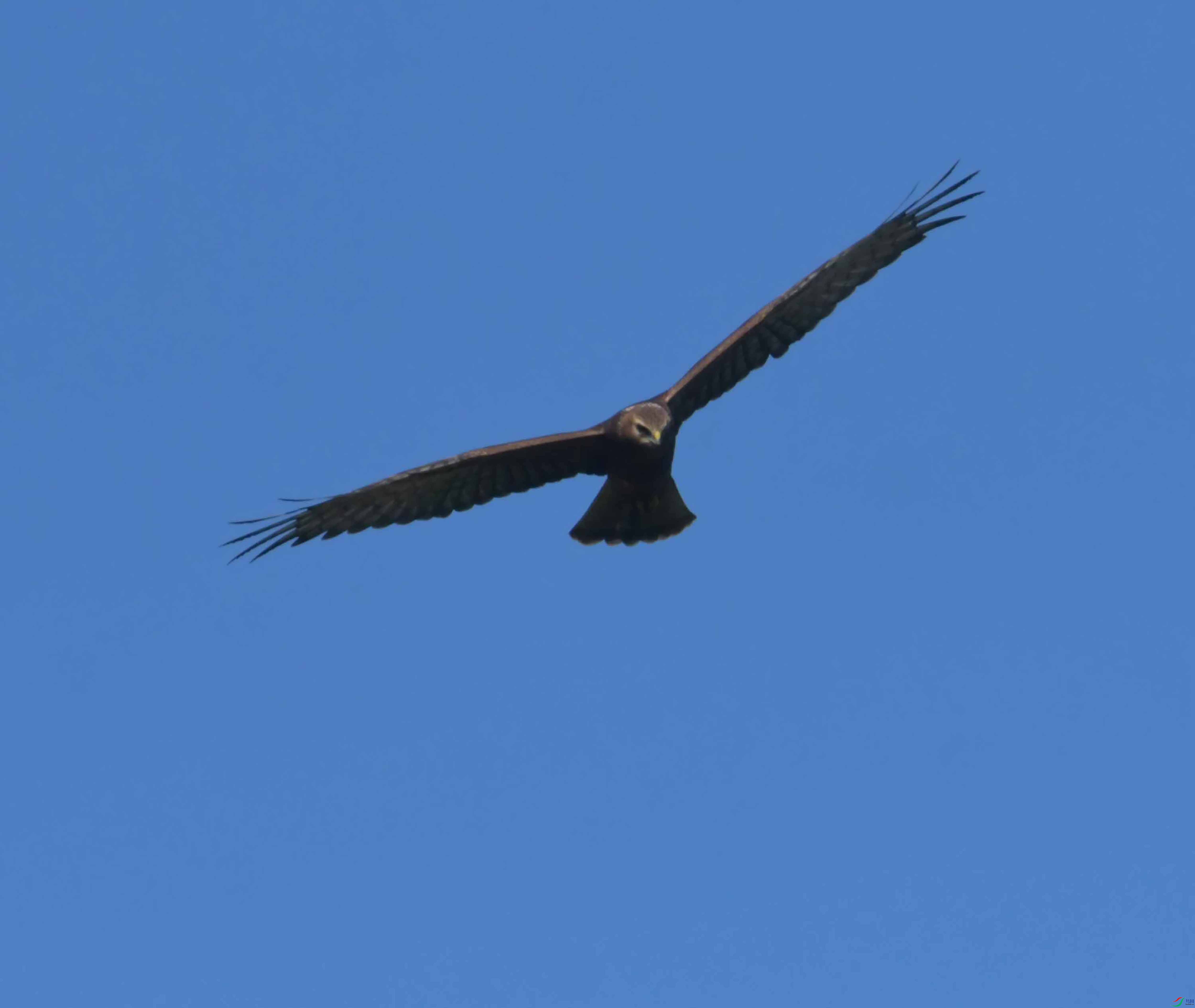 DSC_4228.JPG