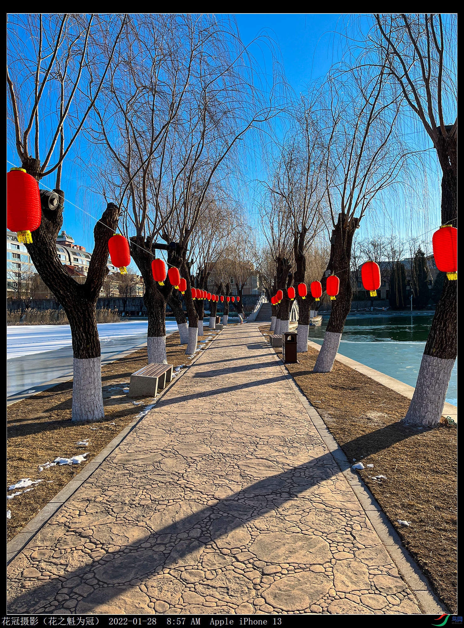 ΢��ͼƬ_20220131103032B-1_����_����.jpg