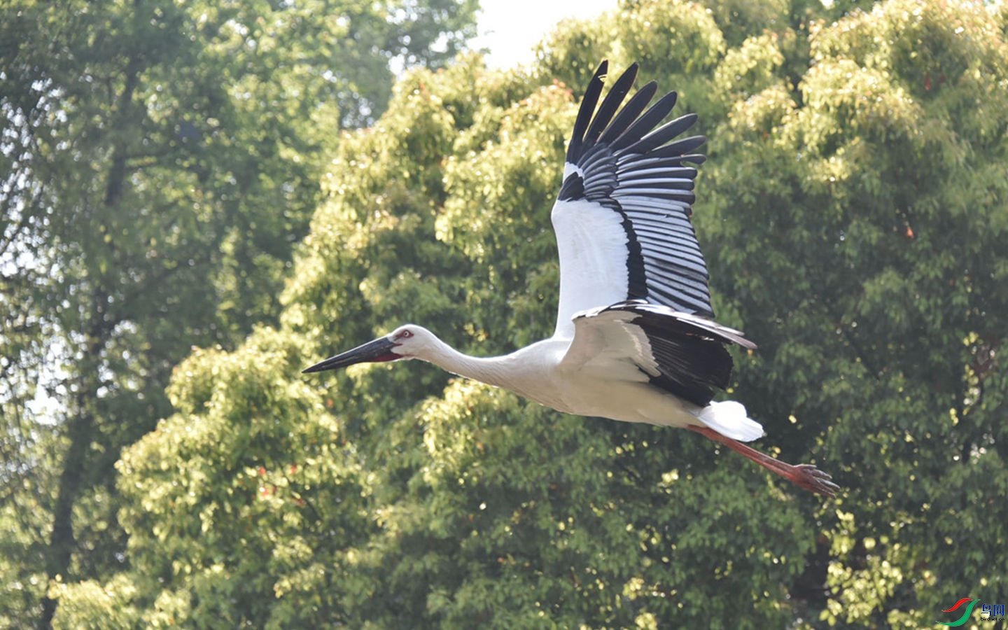 862 (66)_����.jpg