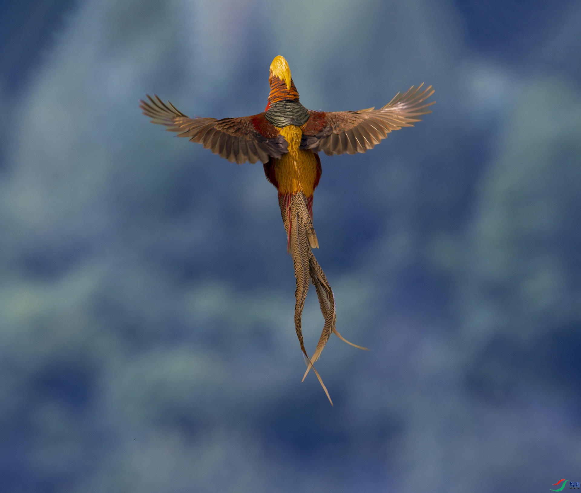 DSC_4126-NEF_DxO_HQ-2 ���� 2.jpg