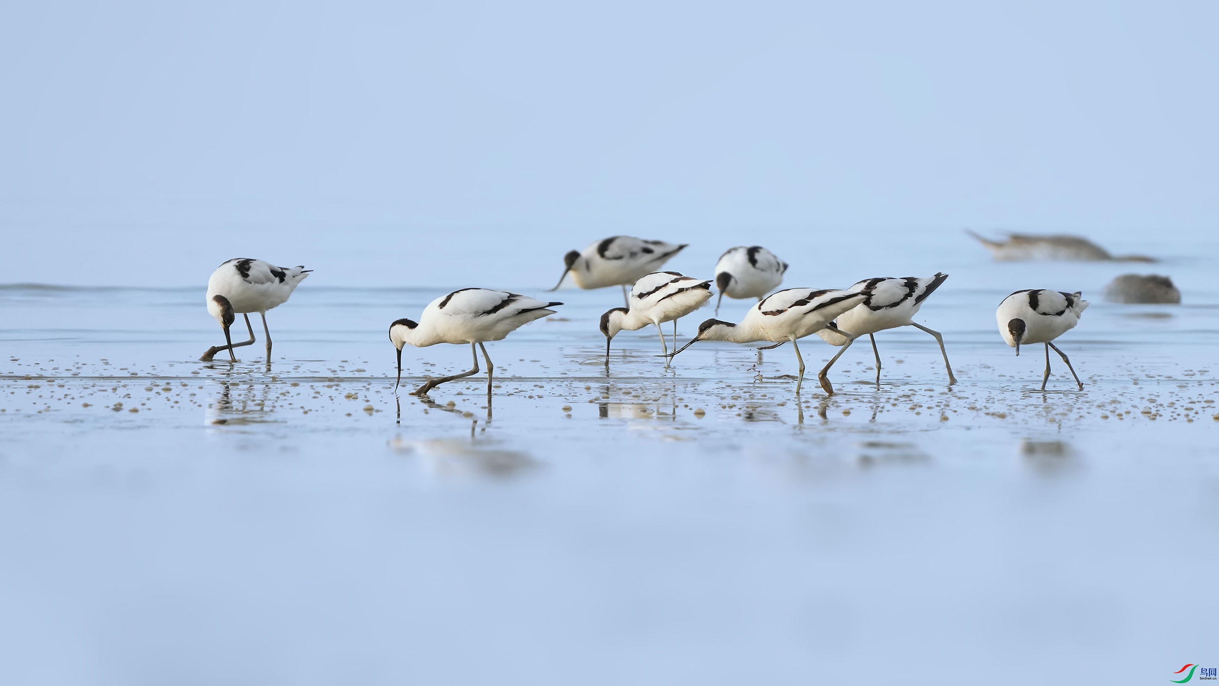 DSC00124 ����.jpg