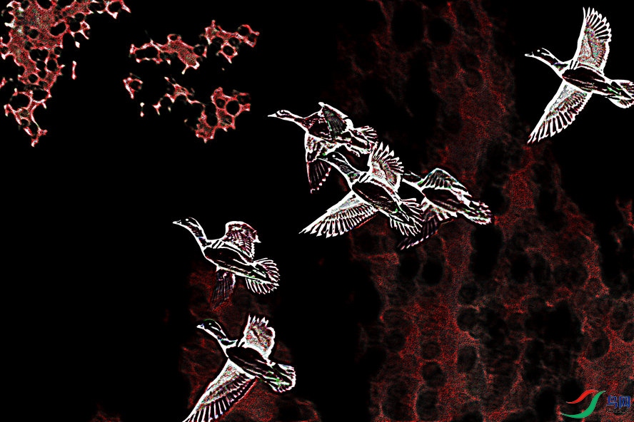 AQ1I4536_����_����2_����.jpg