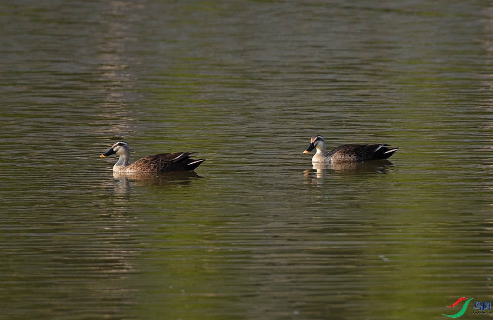 DSC_7500f_��ͼ��.jpg