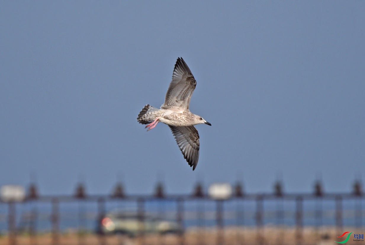 DSC_8782.jpg