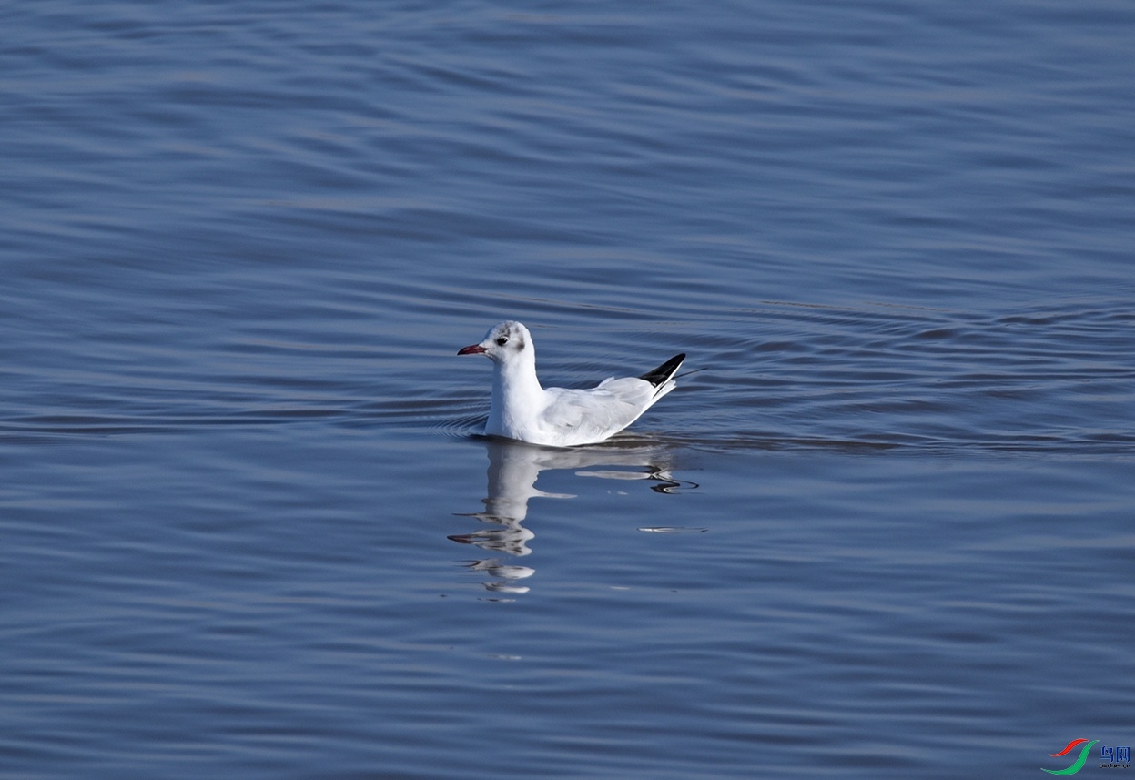 DSC_9413.jpg