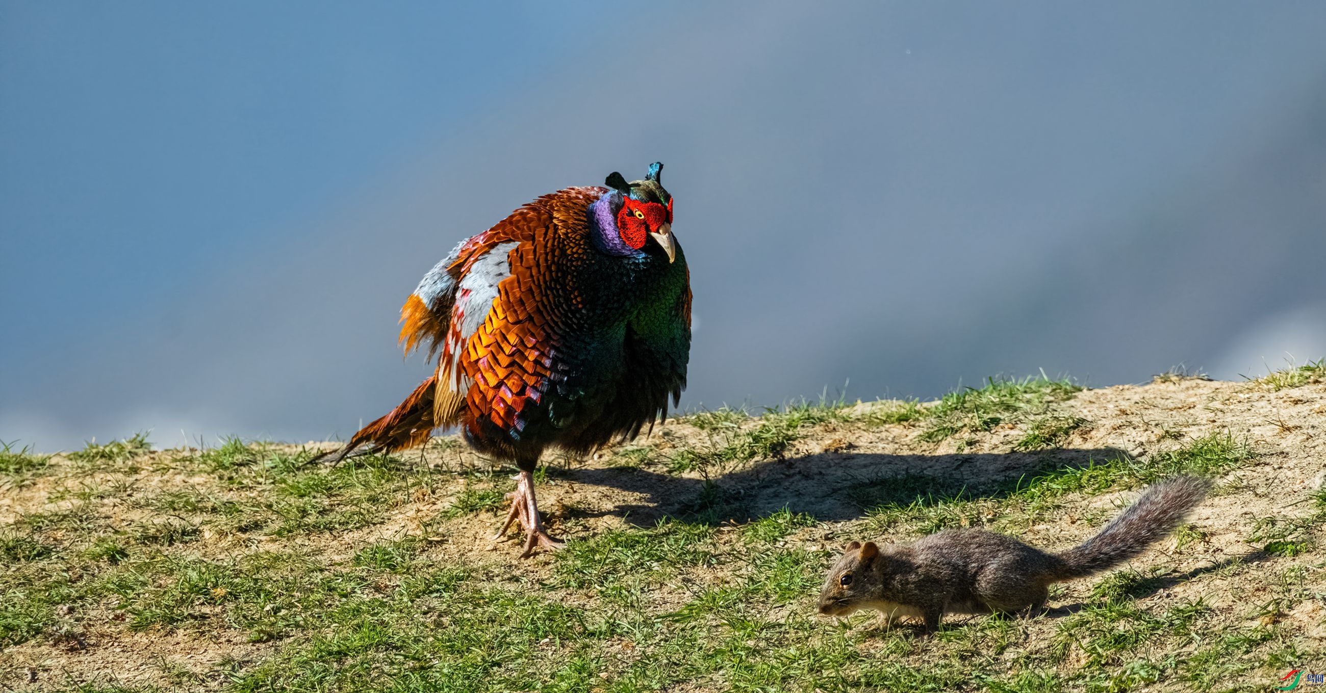 ����������