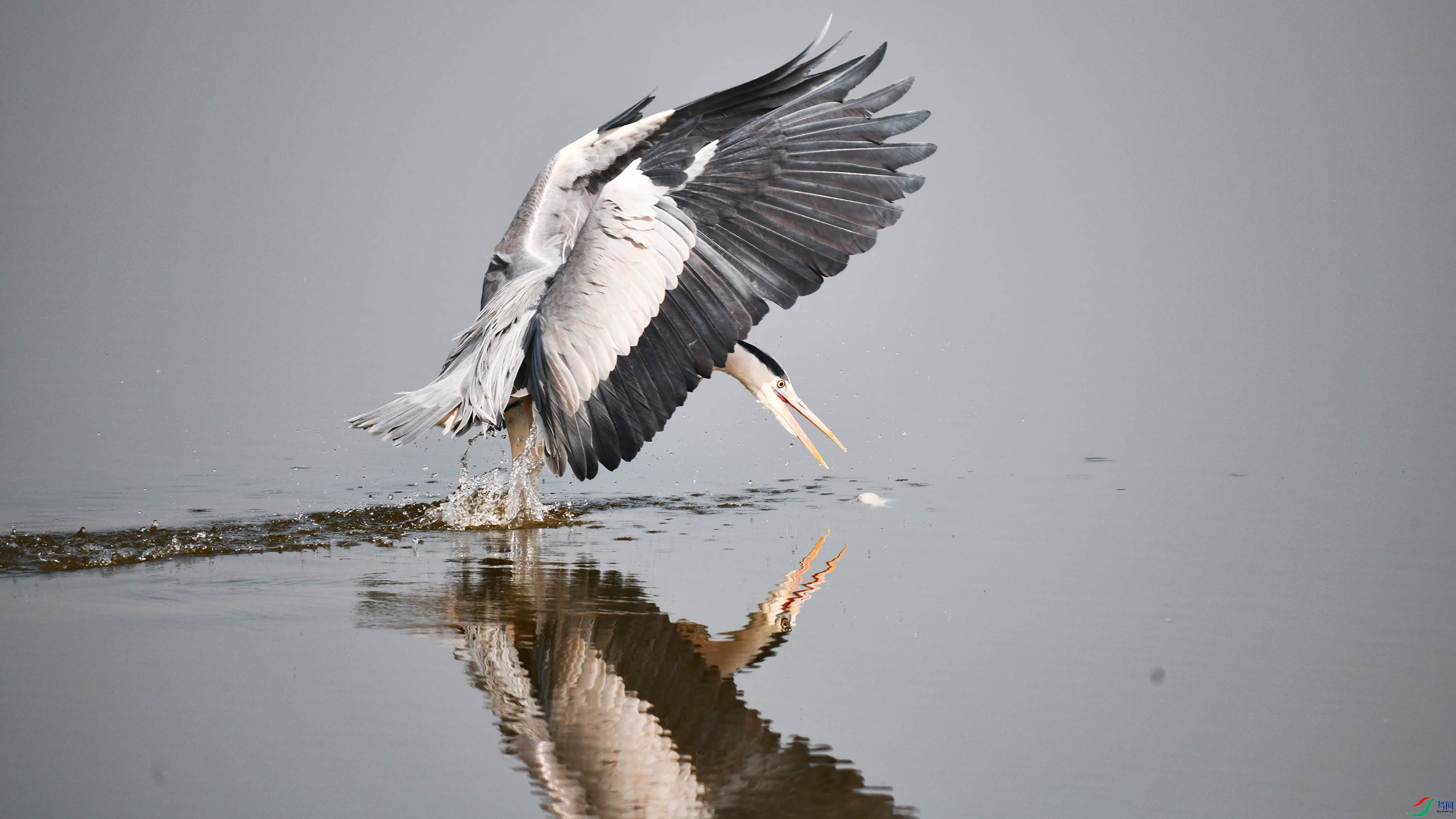 DSC_7657.jpg