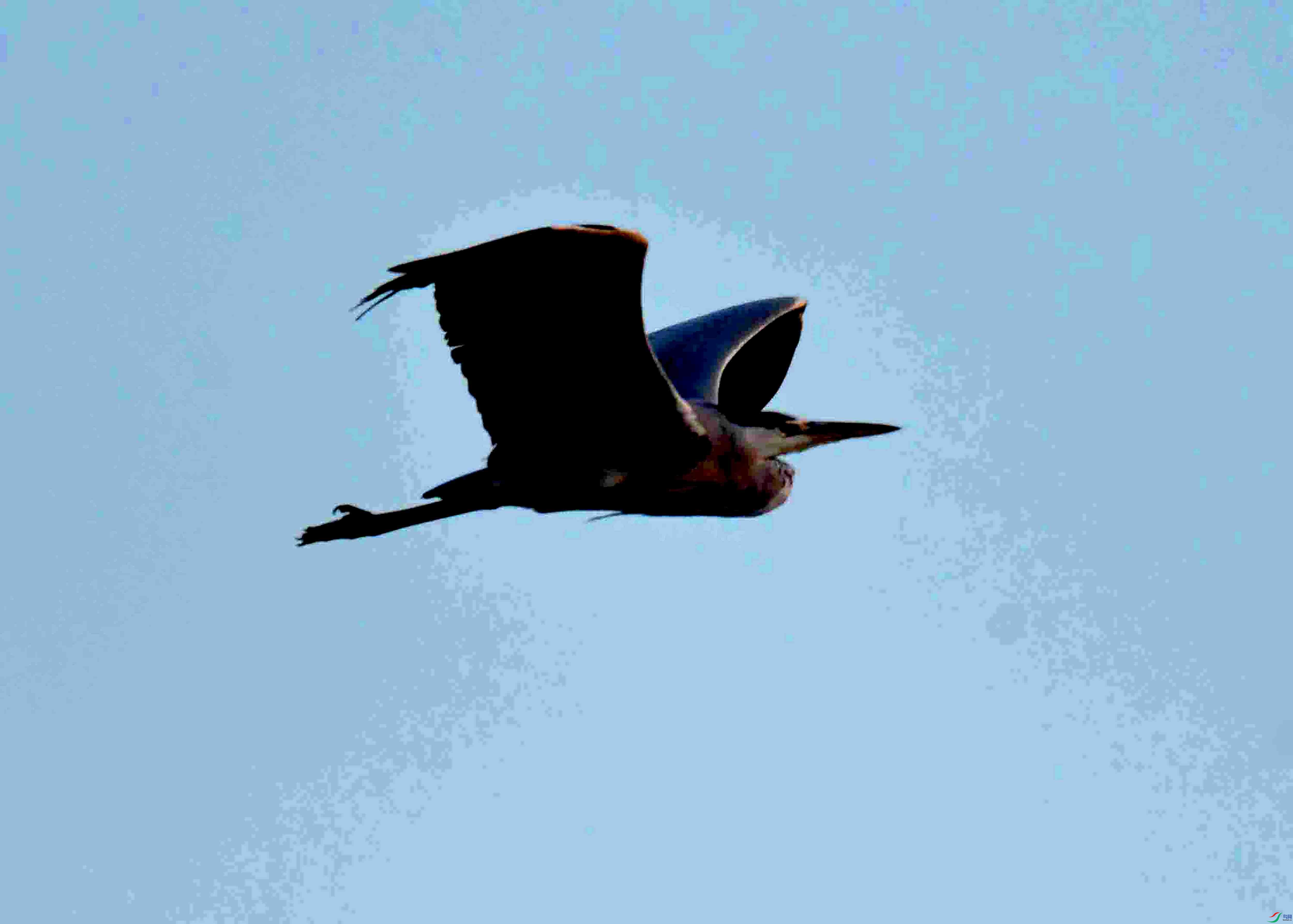 DSC_1445.JPG