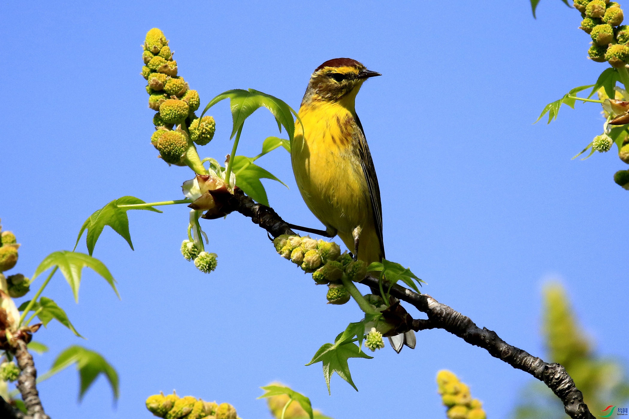 ����ݺ 01.jpg