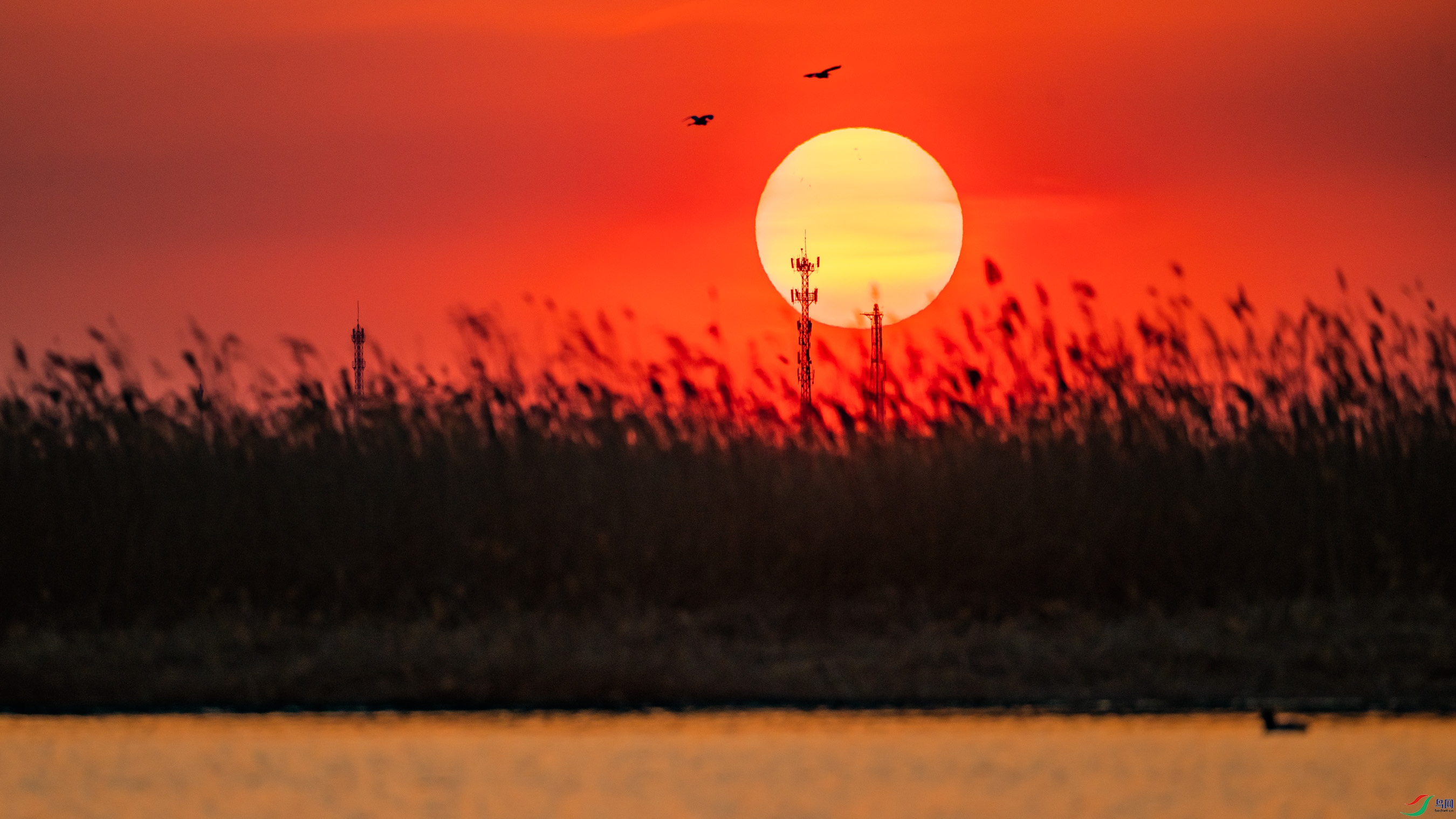 ʪ������