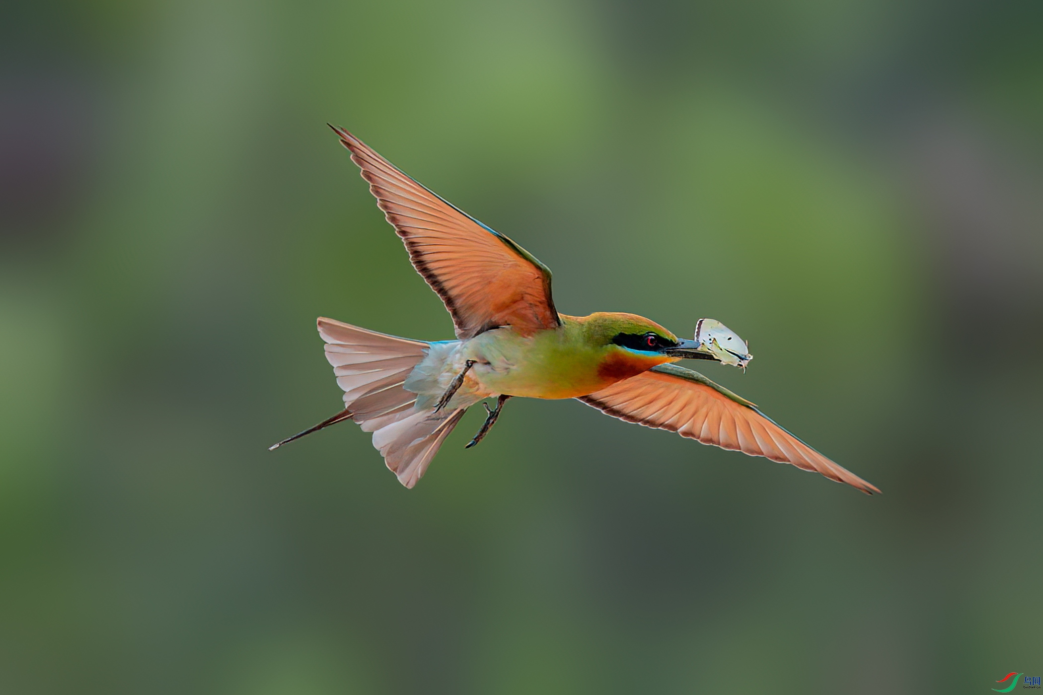DSC_7794.jpg