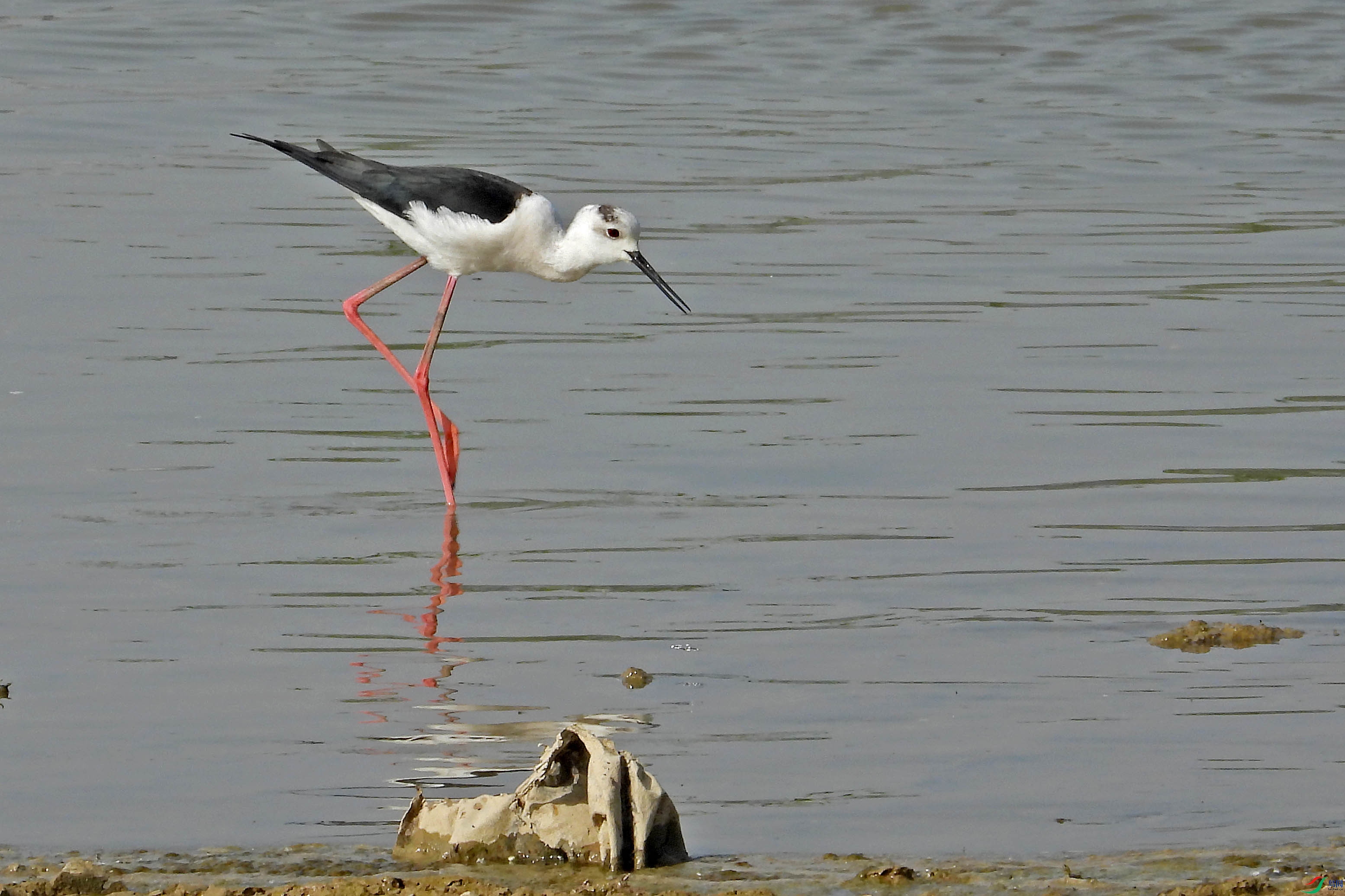 DSCN5408.JPG